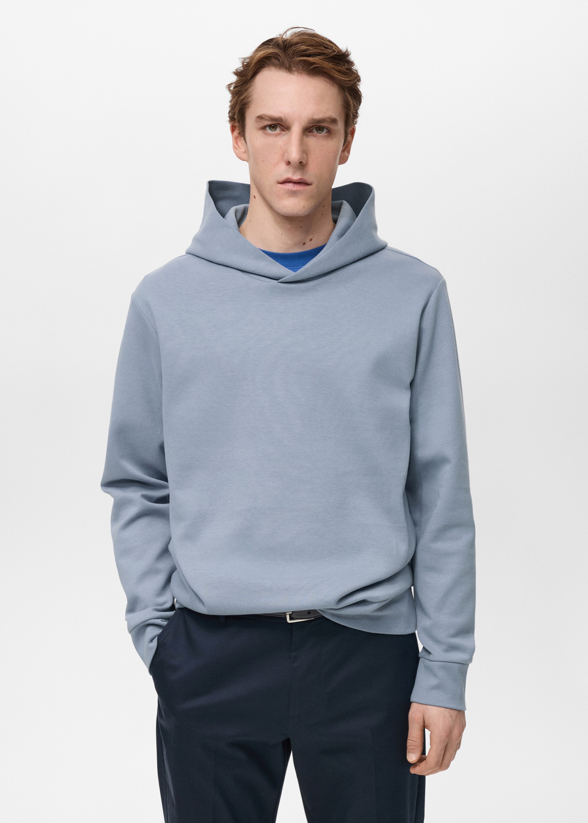 Regular-fit cotton hoodie - Medium plane, Sky Blue. Ref: 87024410-00.