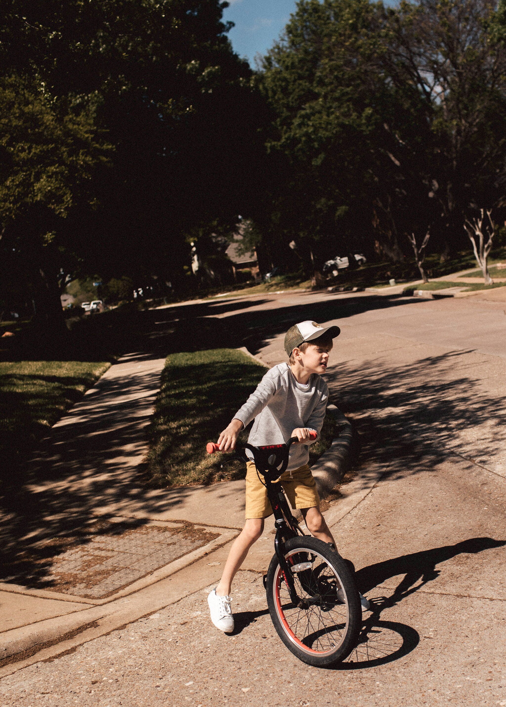 Straight cotton Bermuda shorts - Details of the article 6