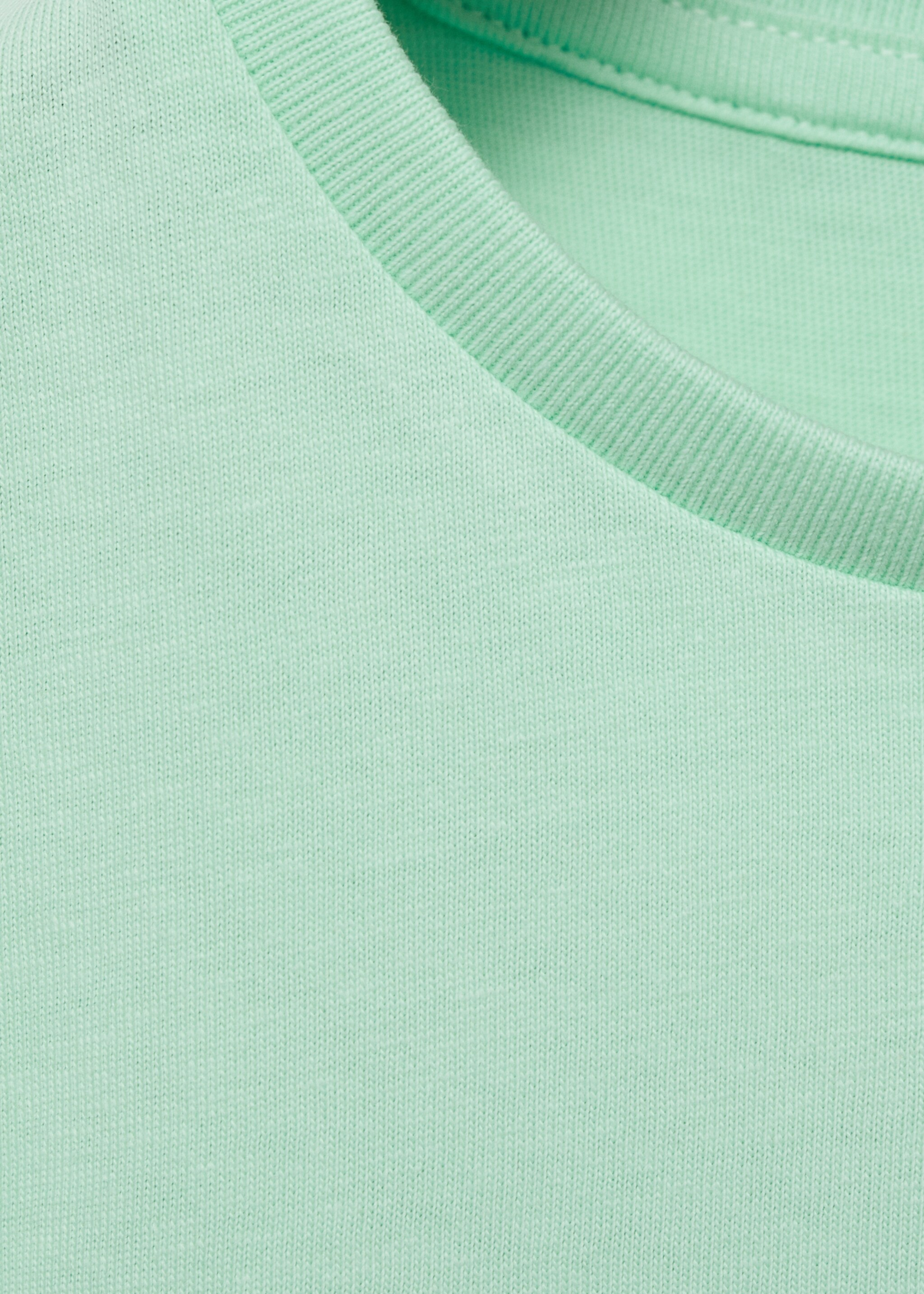 Embroidered printed T-shirt - Details of the article 8, Aqua Green. Ref: 87027697-00.