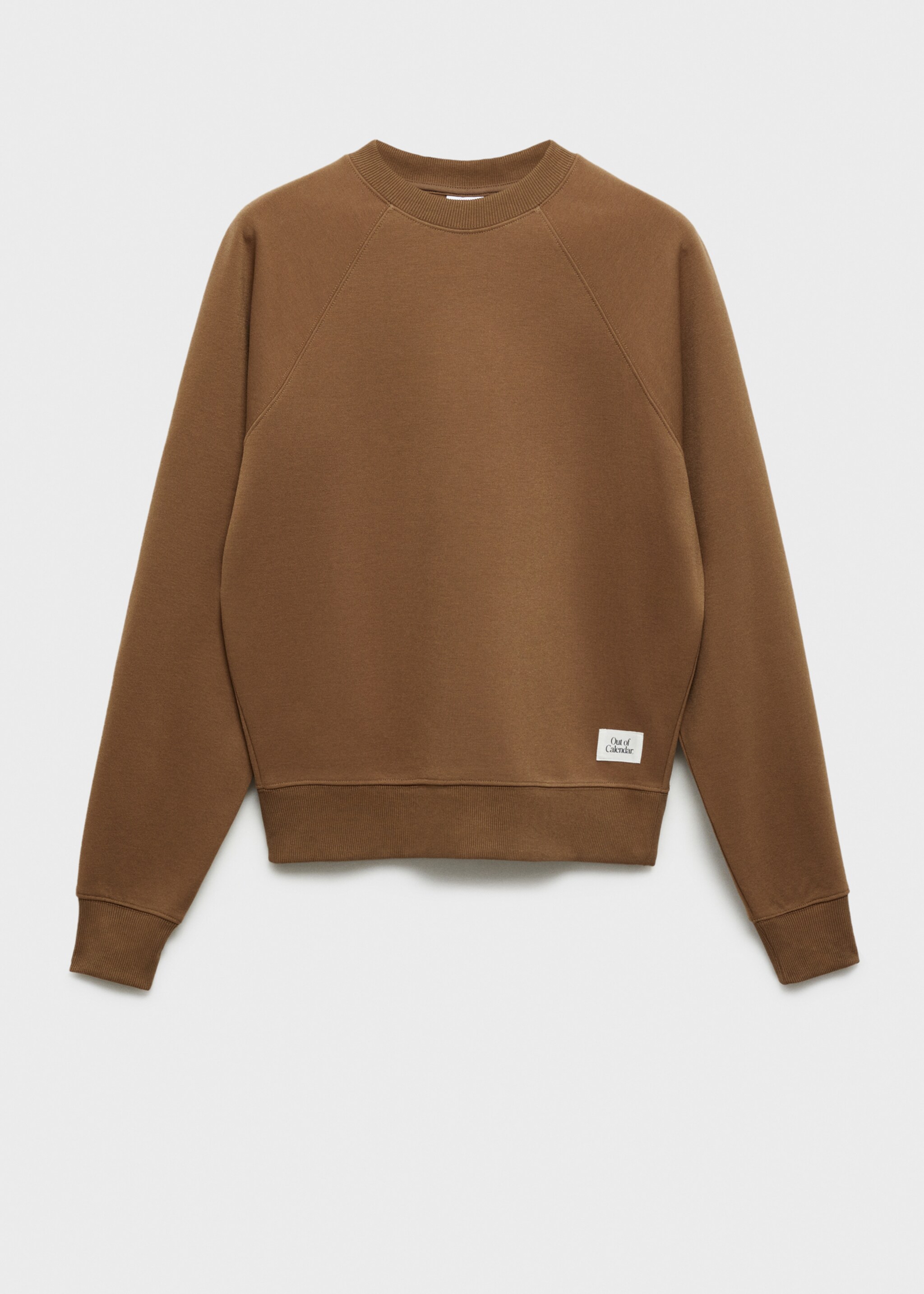 Relaxed-fit sweatshirt - Article without model, Medium Brown. Ref: 87030604-00.