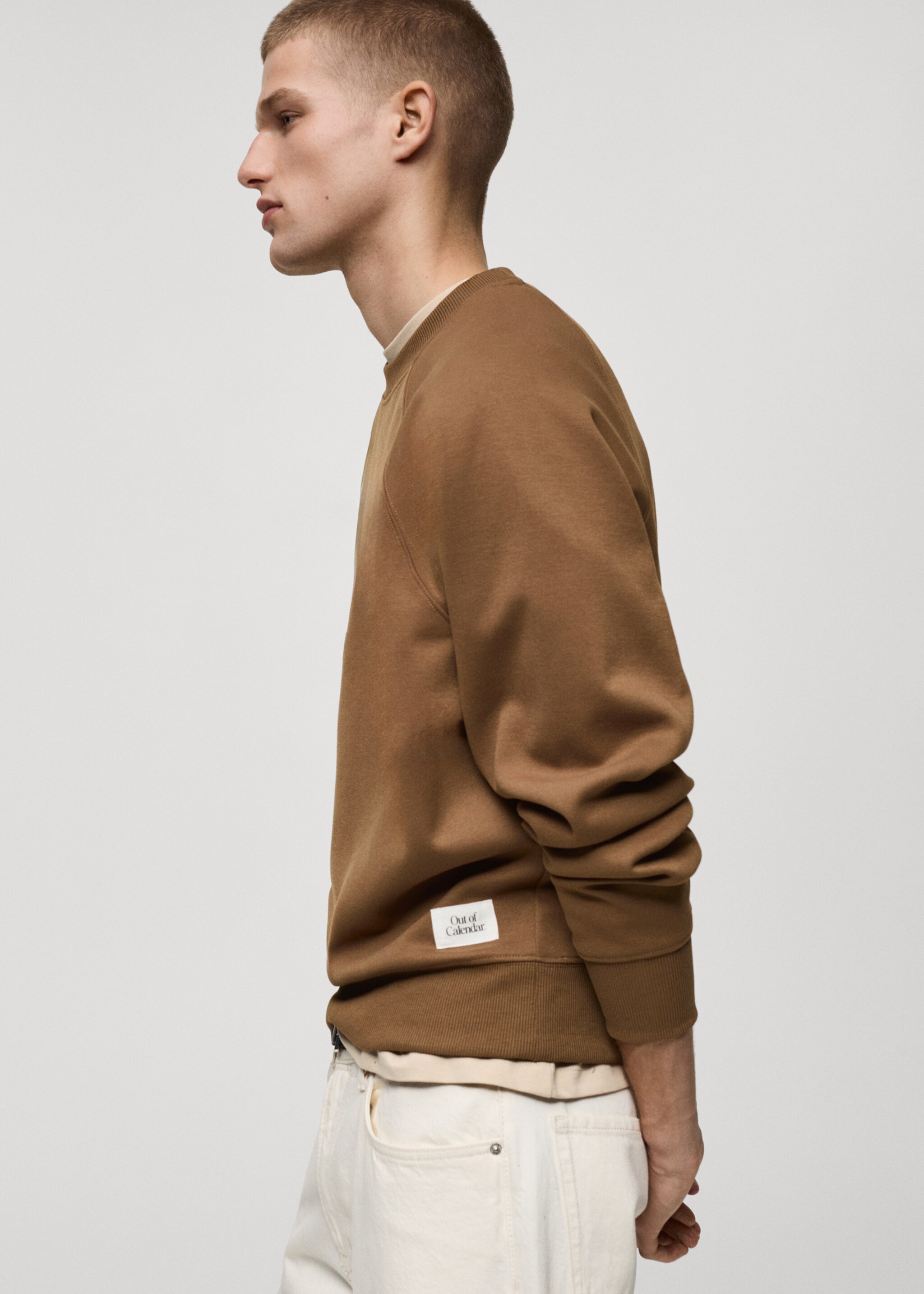 Relaxed-fit sweatshirt - Details of the article 2, Medium Brown. Ref: 87030604-00.