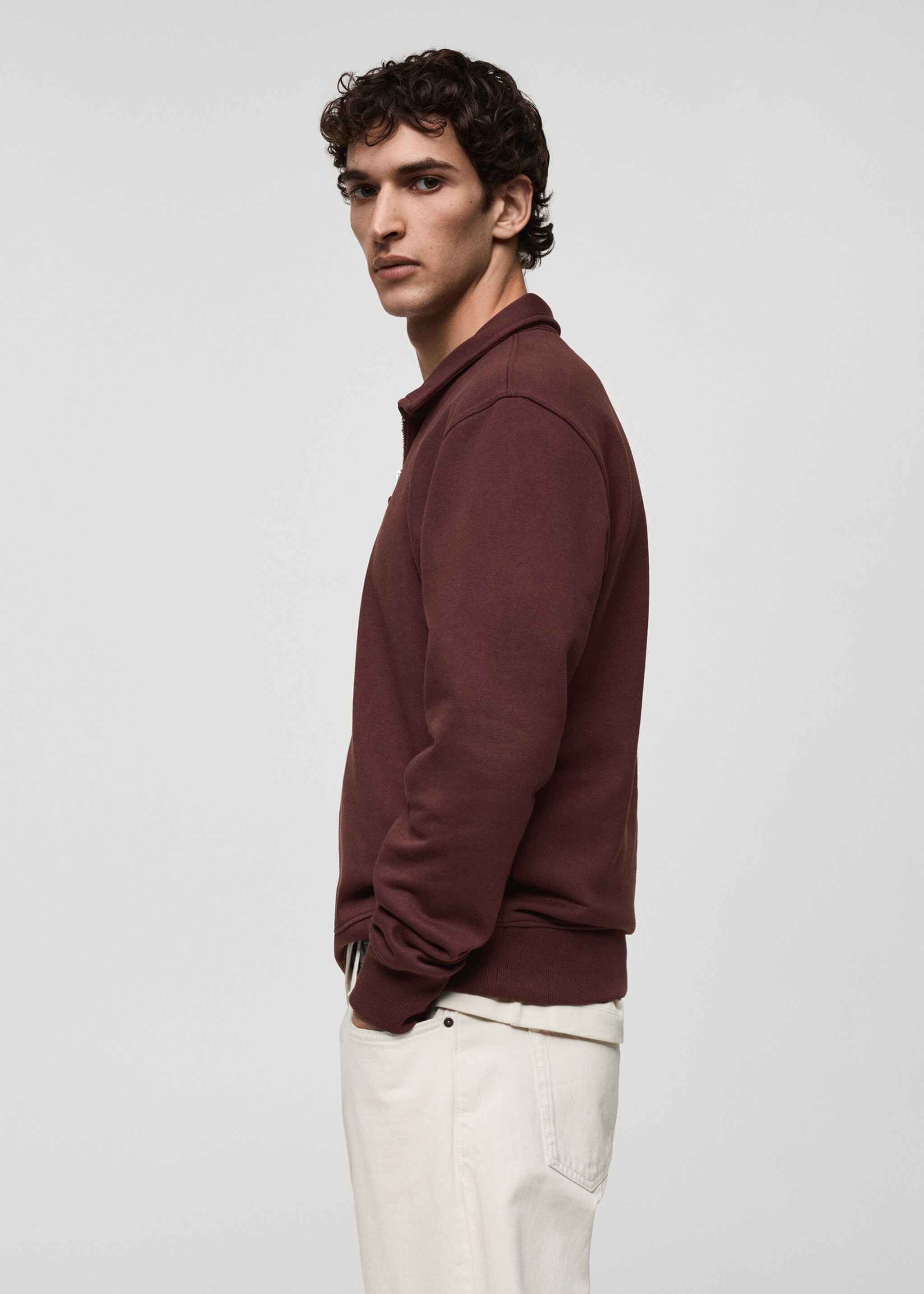 Sweat-shirt polo coton regular-fit - Détail de l'article 2, Bordeaux. Ref: 87030618-00.