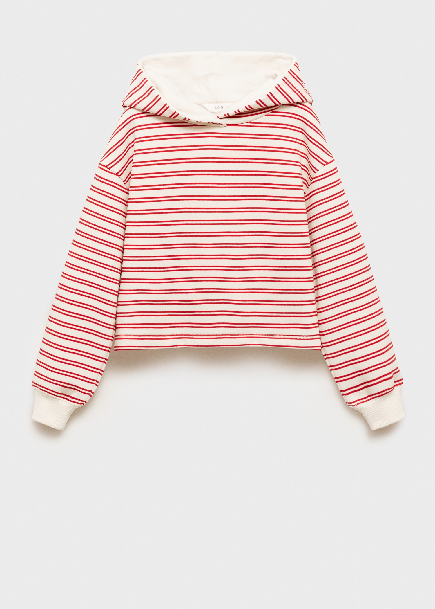 Striped hooded sweatshirt - Article without model