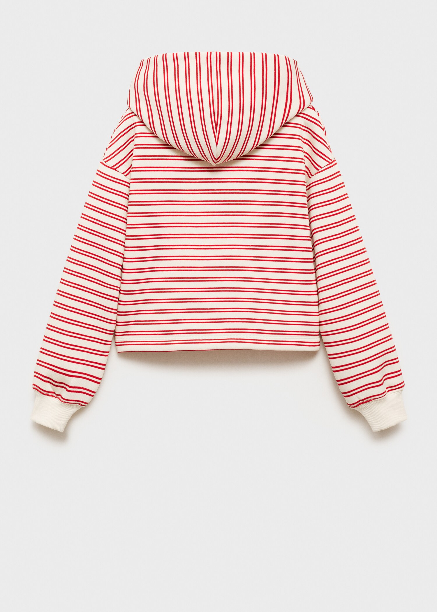 Striped hooded sweatshirt - Reverse of the article