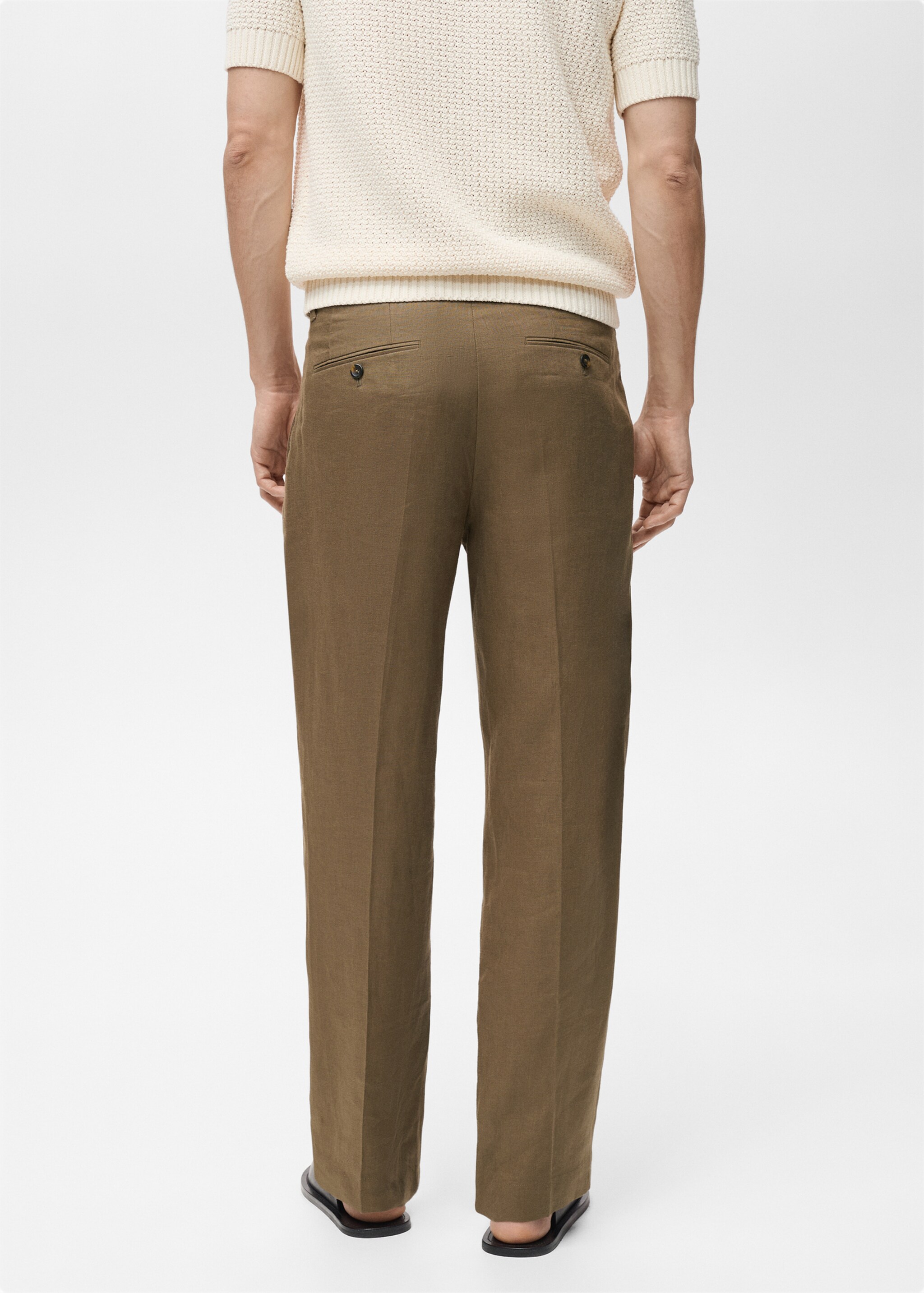 100% linen pleated trousers - Reverse of the article, Medium Green. Ref: 87035920-00.