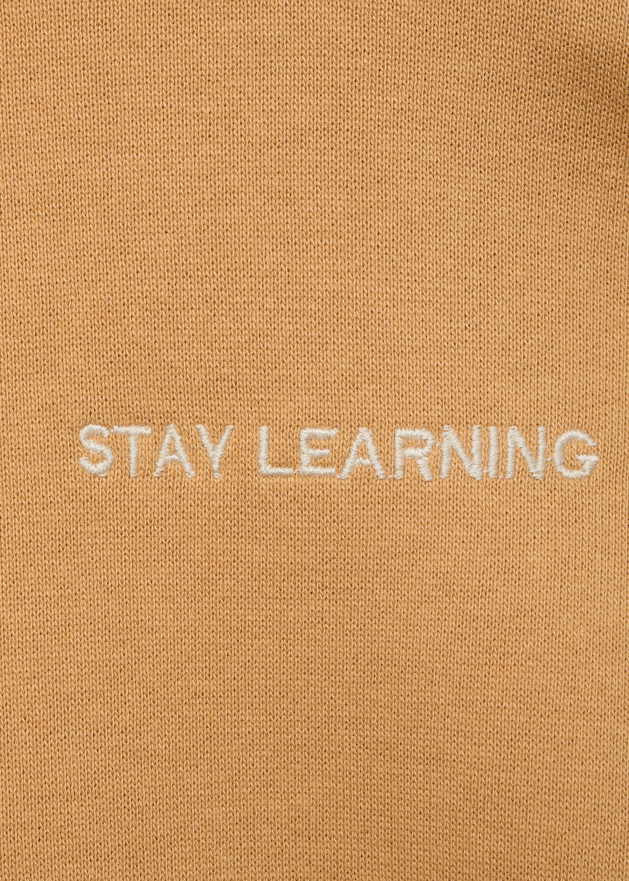 Printed picture sweatshirt - Details of the article 8, Ochre. Ref: 87035958-00.