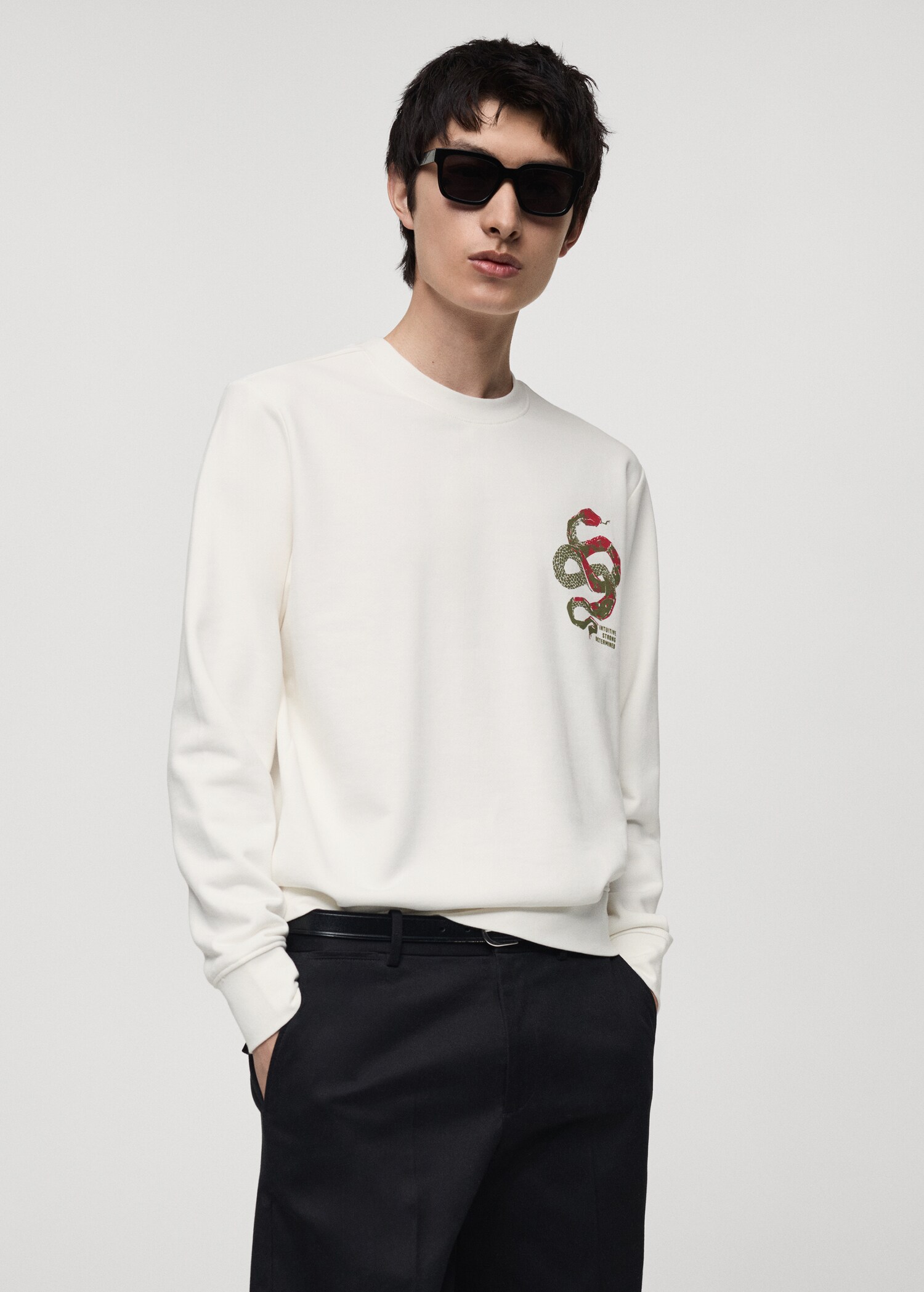 Sweatshirt aus 100 % Baumwolle mit Grafik-Print auf Brusthöhe - Mittlere Ansicht