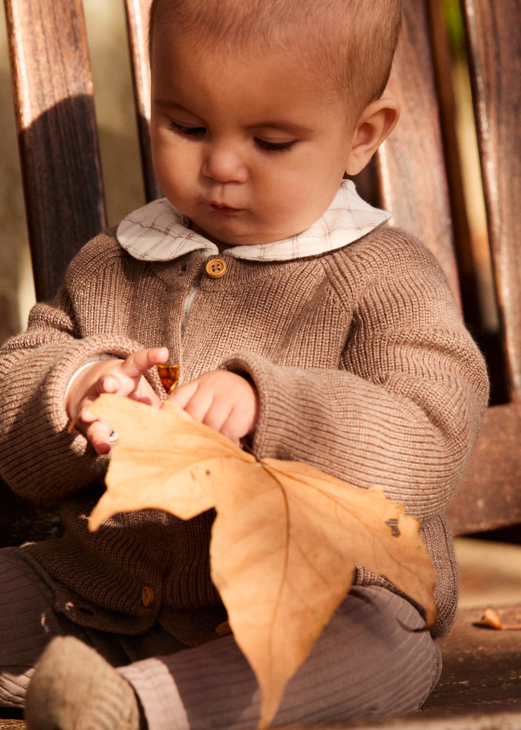 Càrdigan punt botons - Detall de l'article 5, Marró mitjà. Ref: 87040341-00.