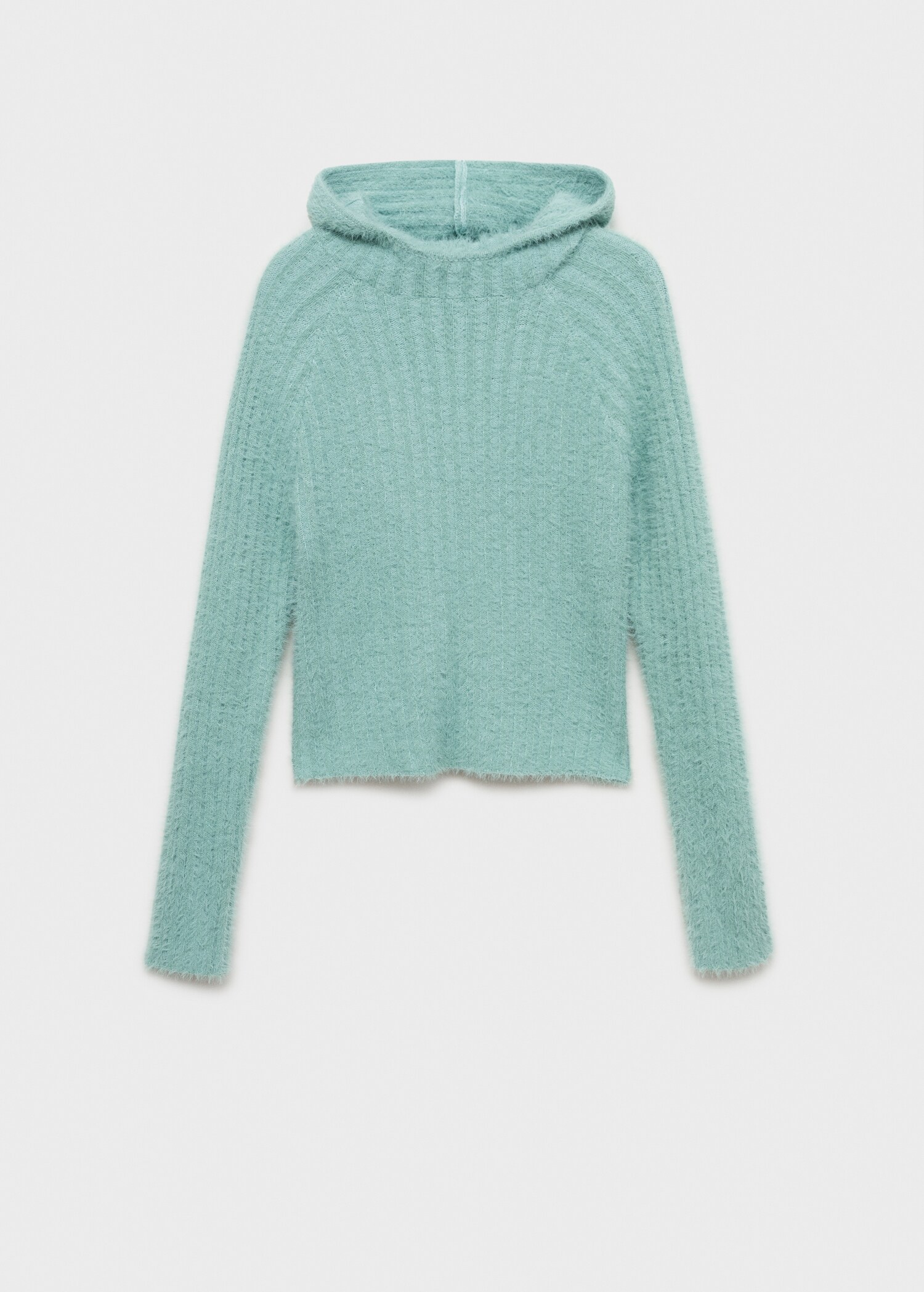 Faux-fur hooded sweater - Article without model