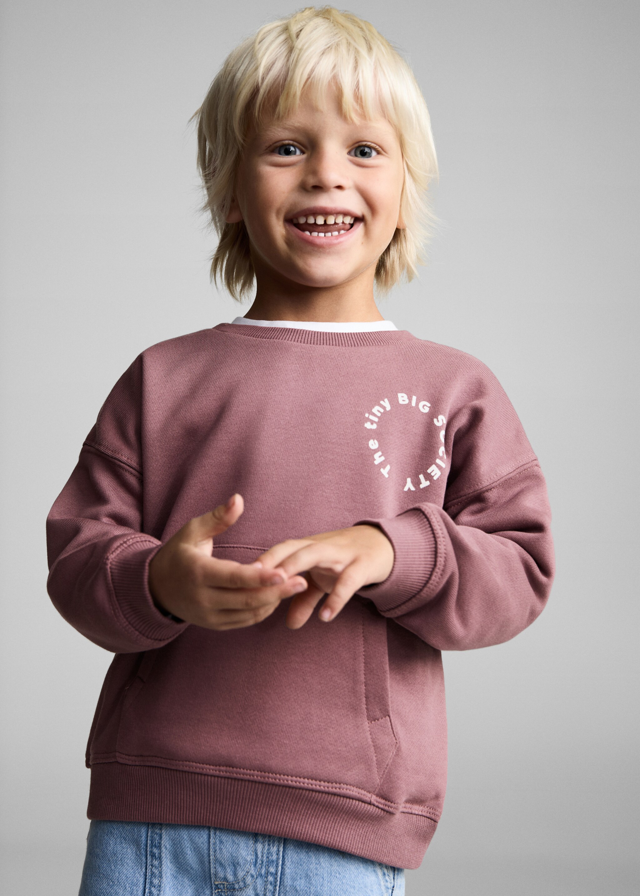 Printed animal sweatshirt - Medium plane, Cherry. Ref: 87041049-00.