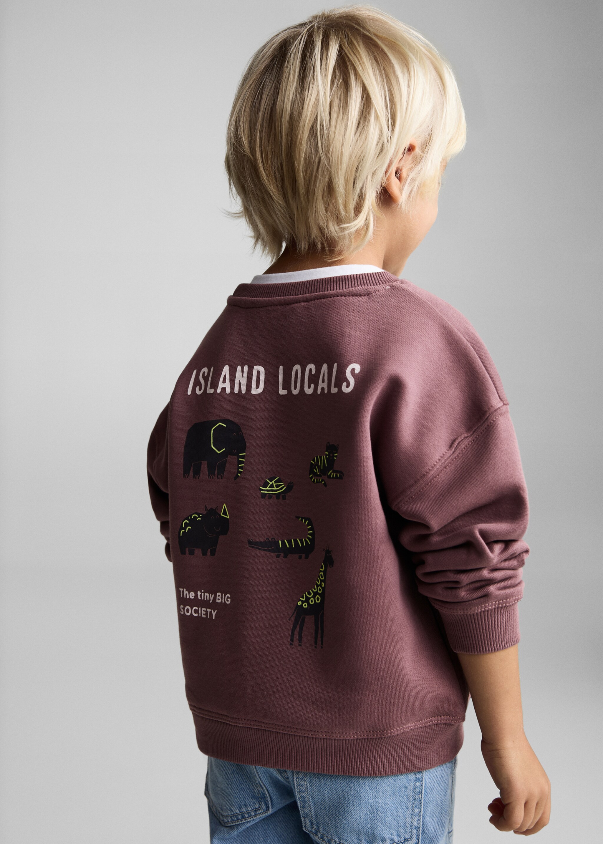 Printed animal sweatshirt - Details of the article 6, Cherry. Ref: 87041049-00.