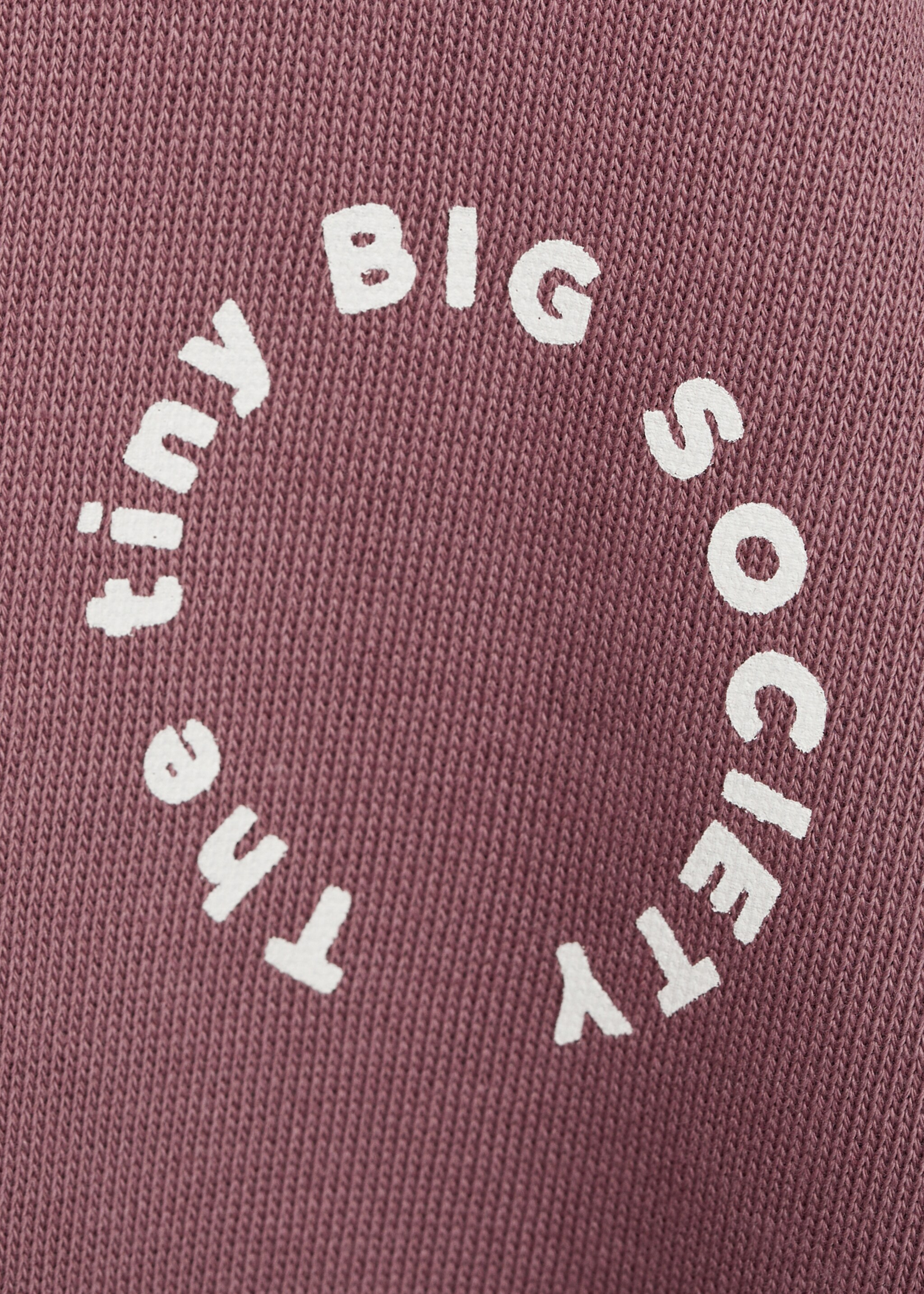 Printed animal sweatshirt - Details of the article 8, Cherry. Ref: 87041049-00.