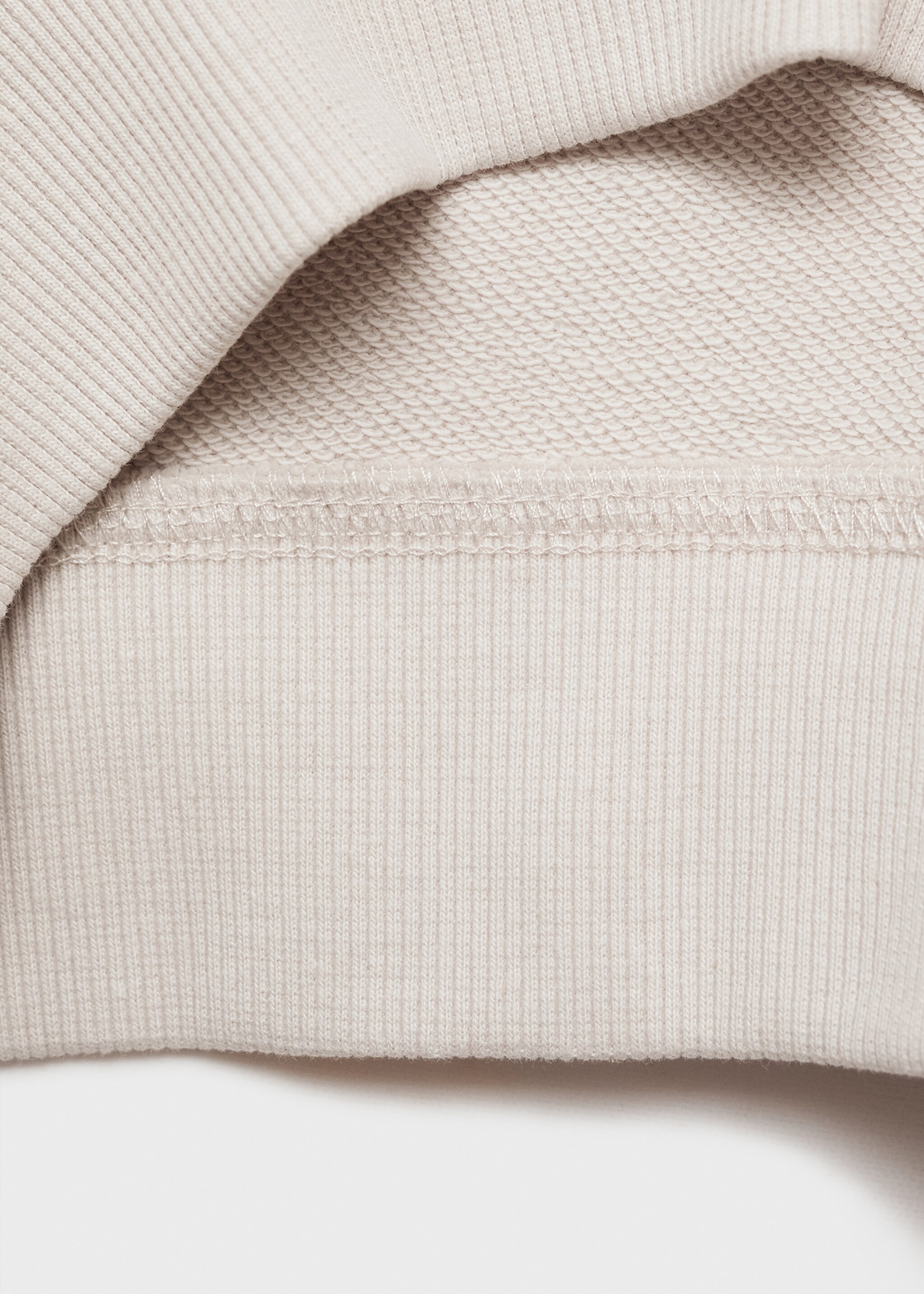 Printed cotton sweatshirt - Details of the article 0, Ice Grey. Ref: 87041512-00.