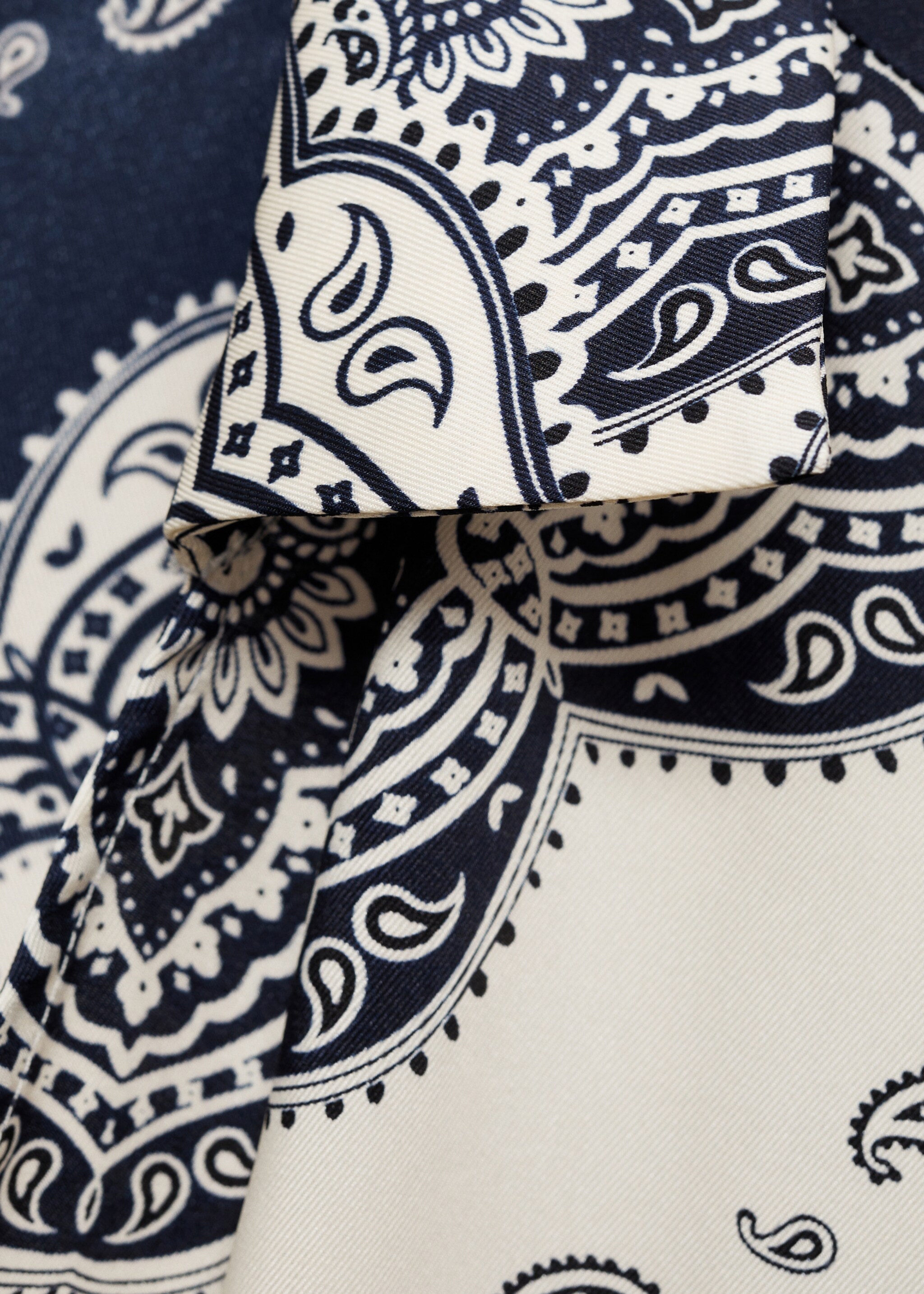 Paisley-print shirt dress - Details of the article 0, Blue. Ref: 87050581-00.
