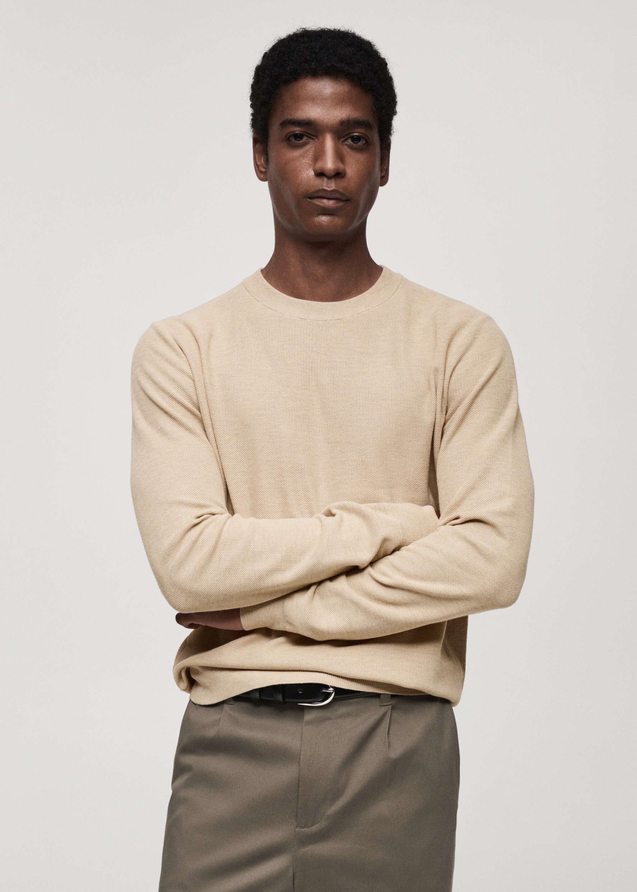 Microstructured cotton knitted sweater - Medium plane, Sand. Ref: 87050599-00.