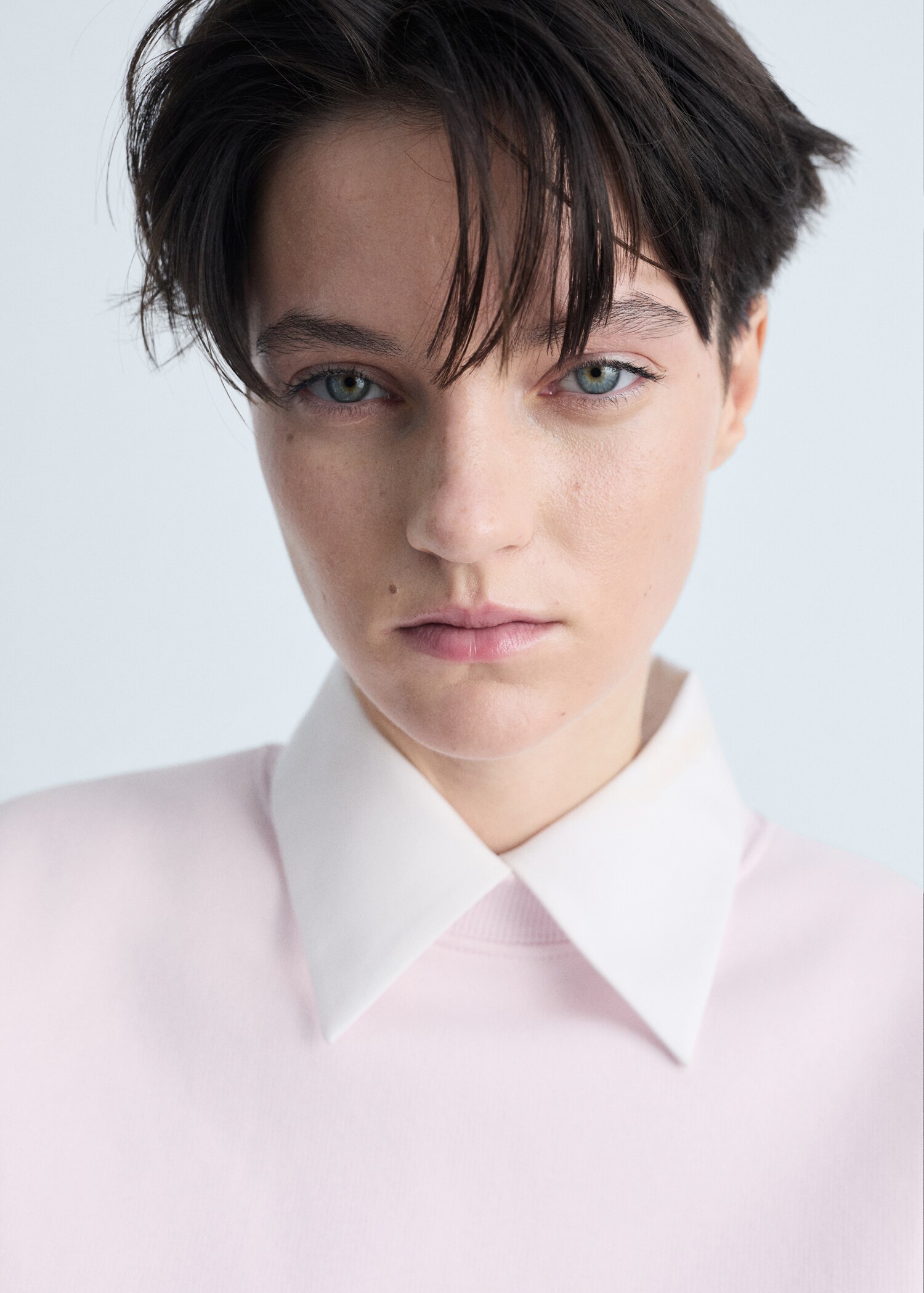 Baumwoll-Sweatshirt mit Rundhals - Detail des Artikels 1