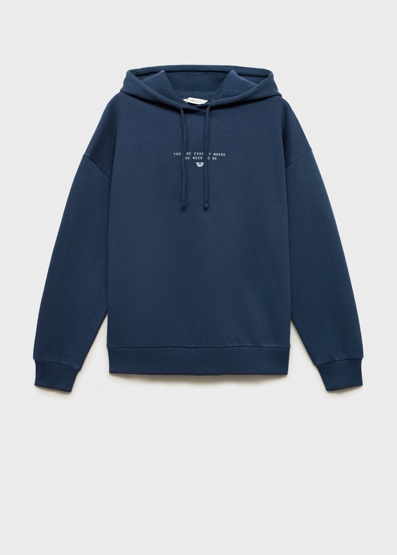 Hoodie cotton sweatshirt - Article without model