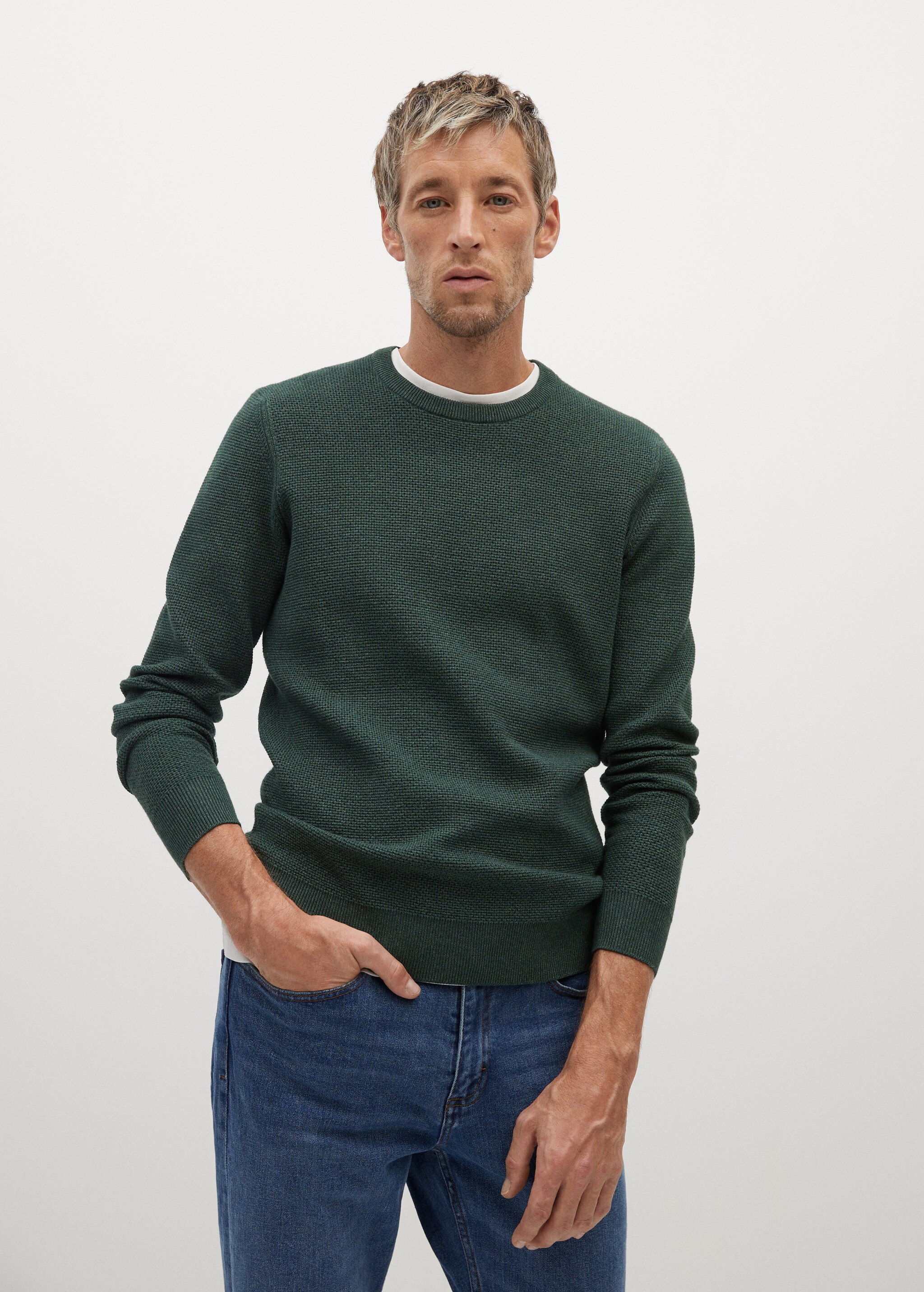 Structured cotton sweater - Medium plane