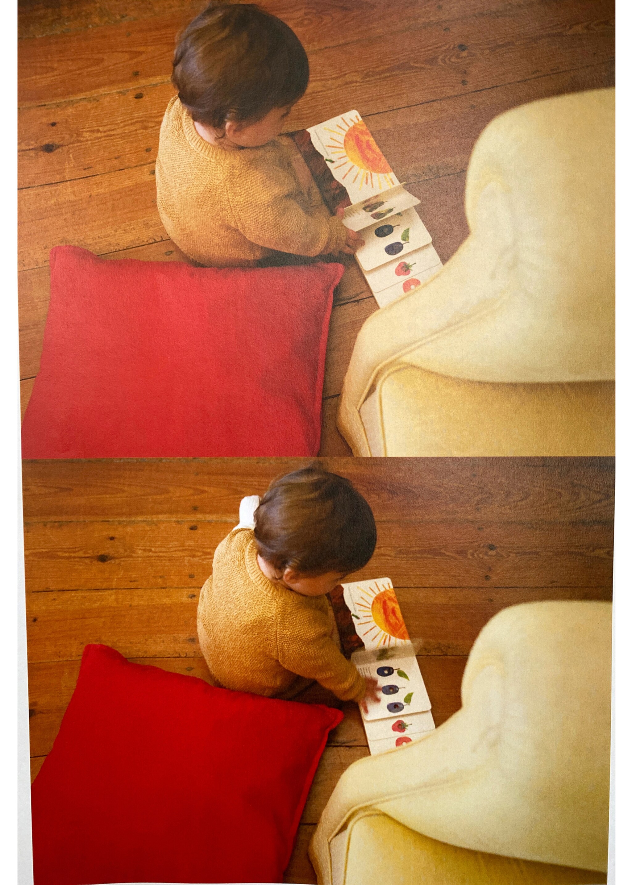 Knitted button cardigan - Details of the article 5, Mustard. Ref: 87065954-00.