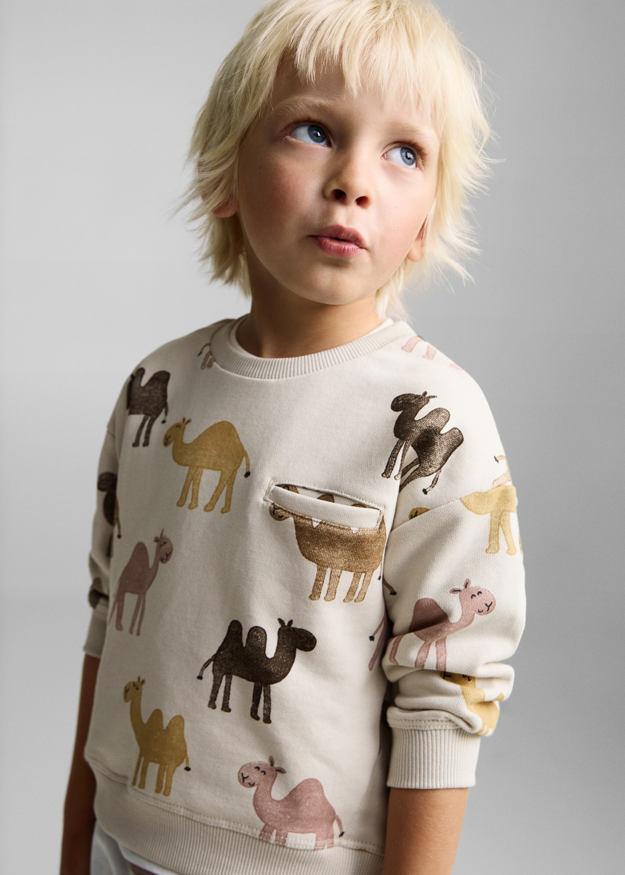 Printed cotton sweatshirt - Medium plane, Sand. Ref: 87065961-00.