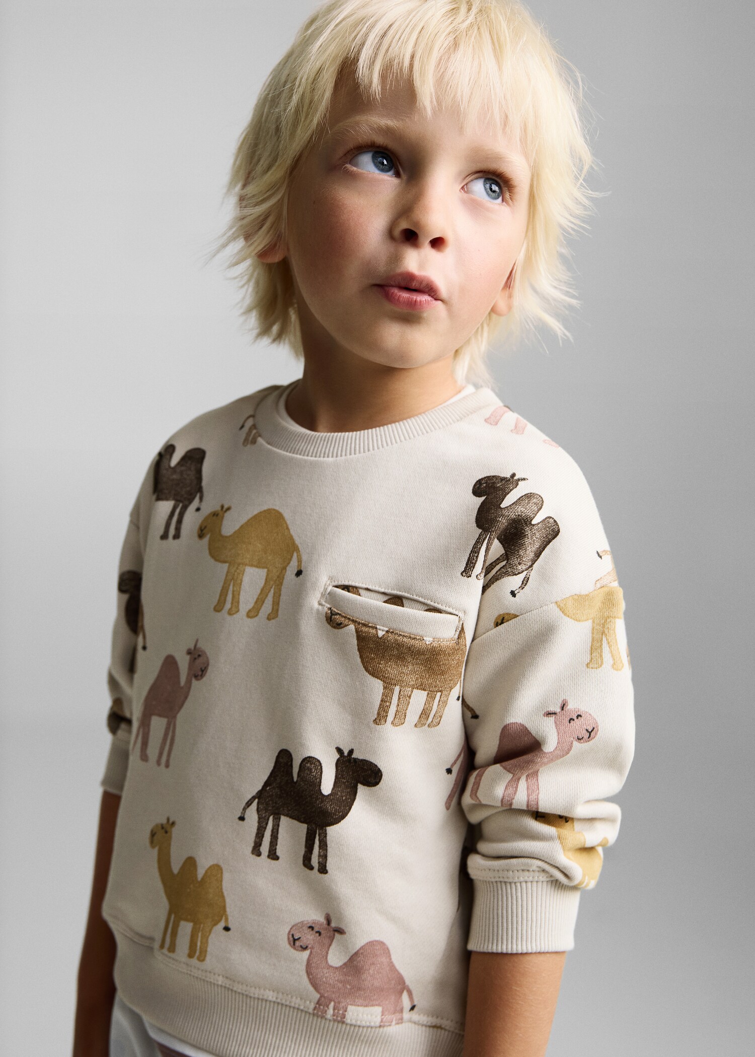 Printed cotton sweatshirt - Medium plane