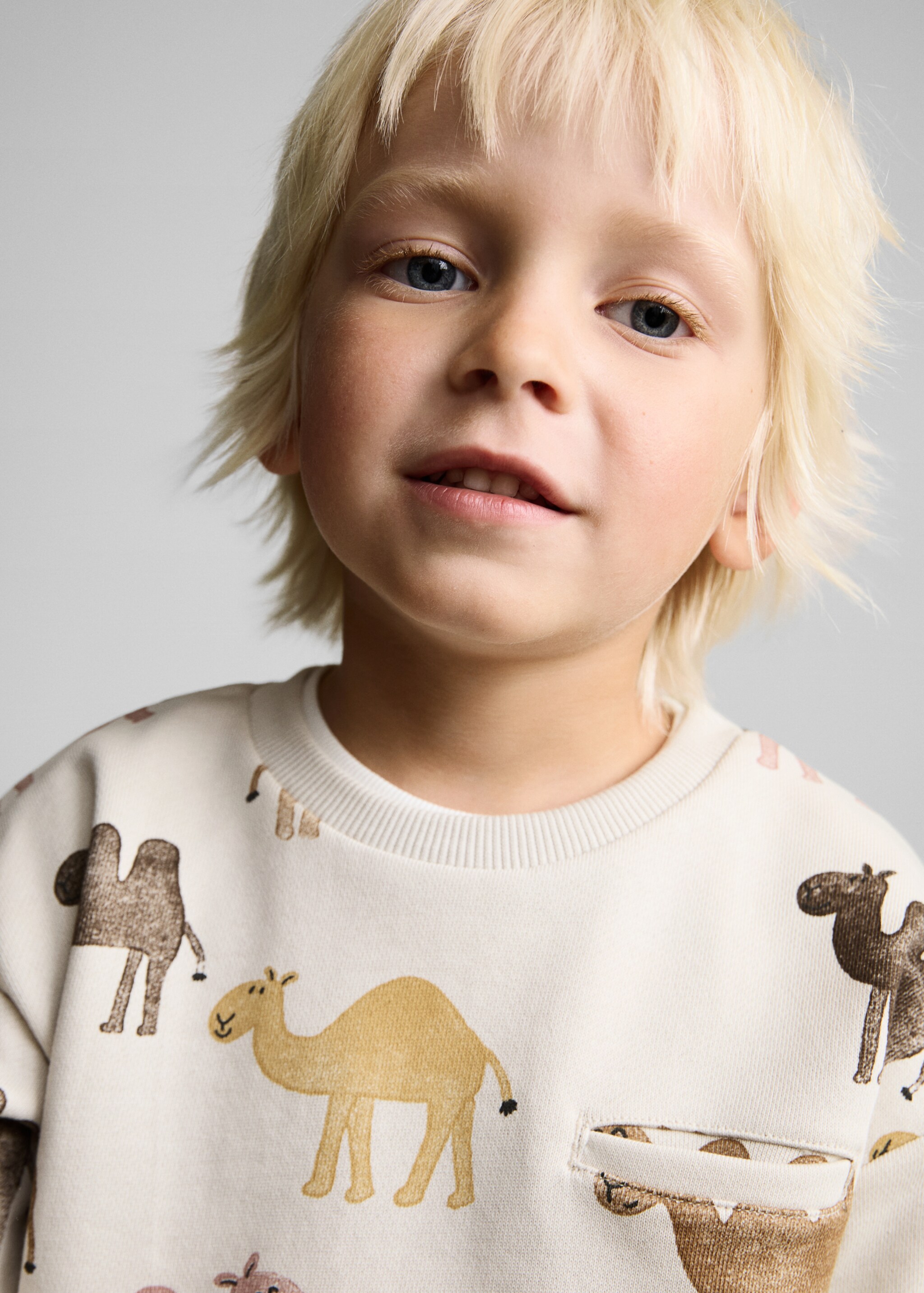 Printed cotton sweatshirt - Details of the article 1, Sand. Ref: 87065961-00.