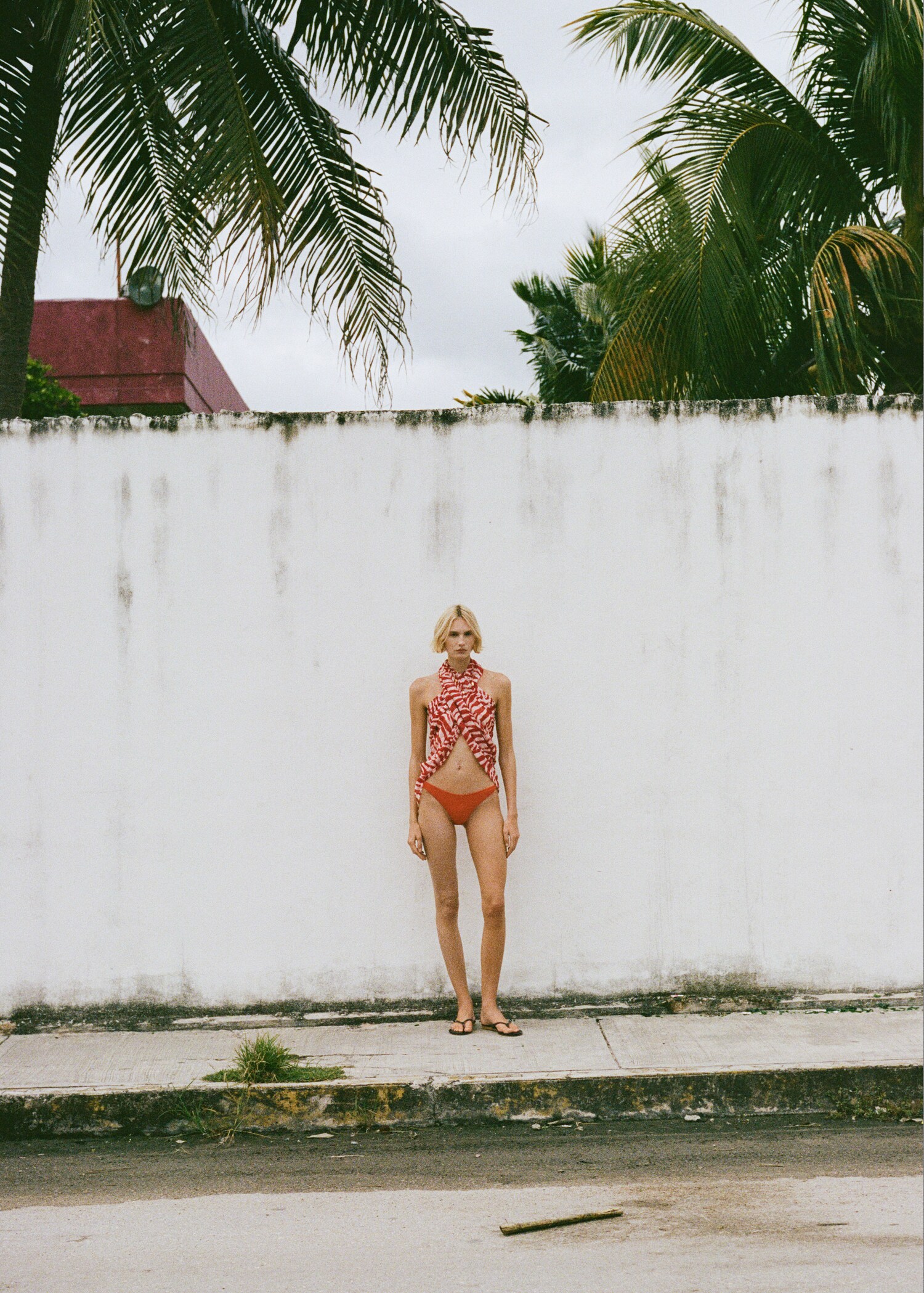 Cotton-blend zebra-print scarf - Details of the article 9