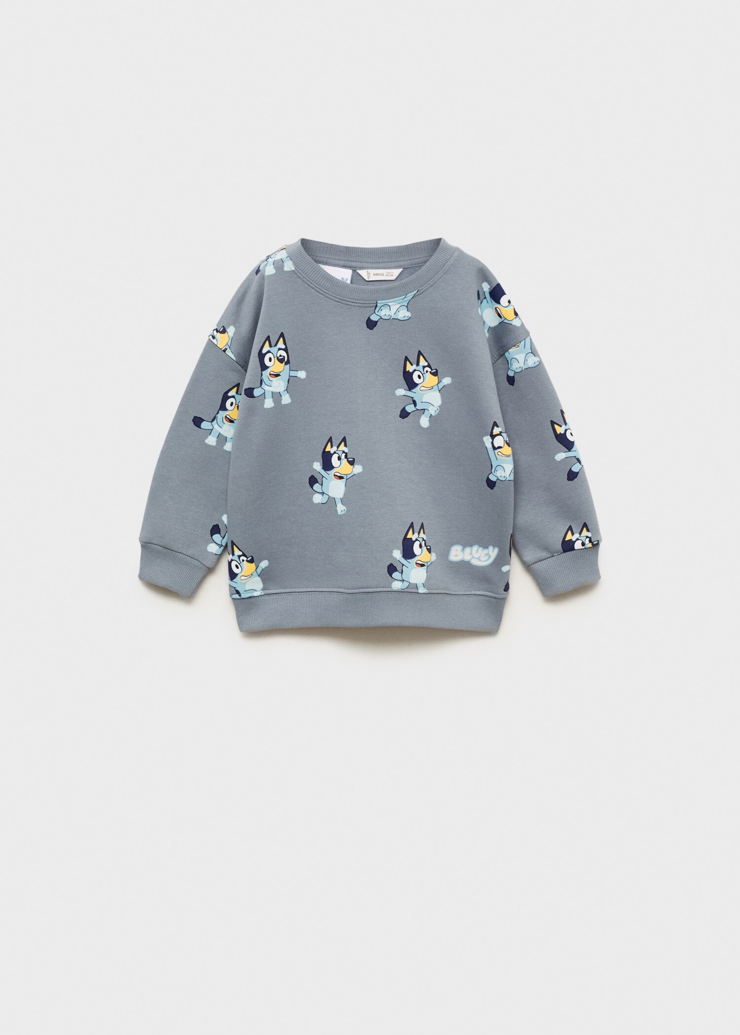 Bluey-print sweatshirt - Article without model