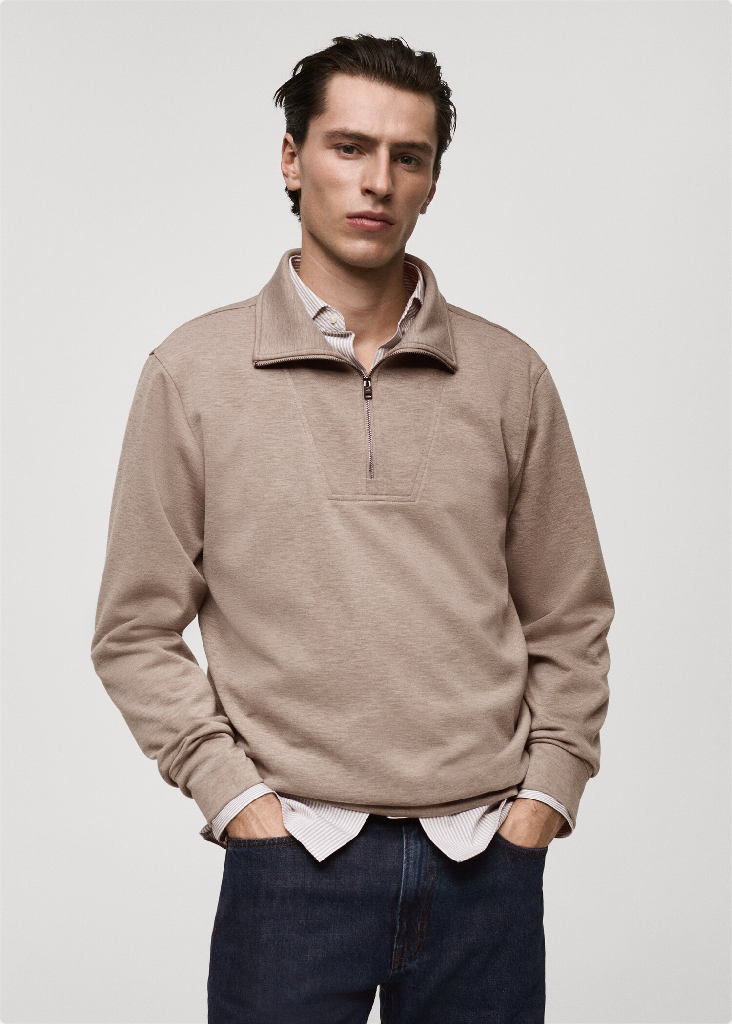 Regular-fit zip-neck sweatshirt - Medium plane