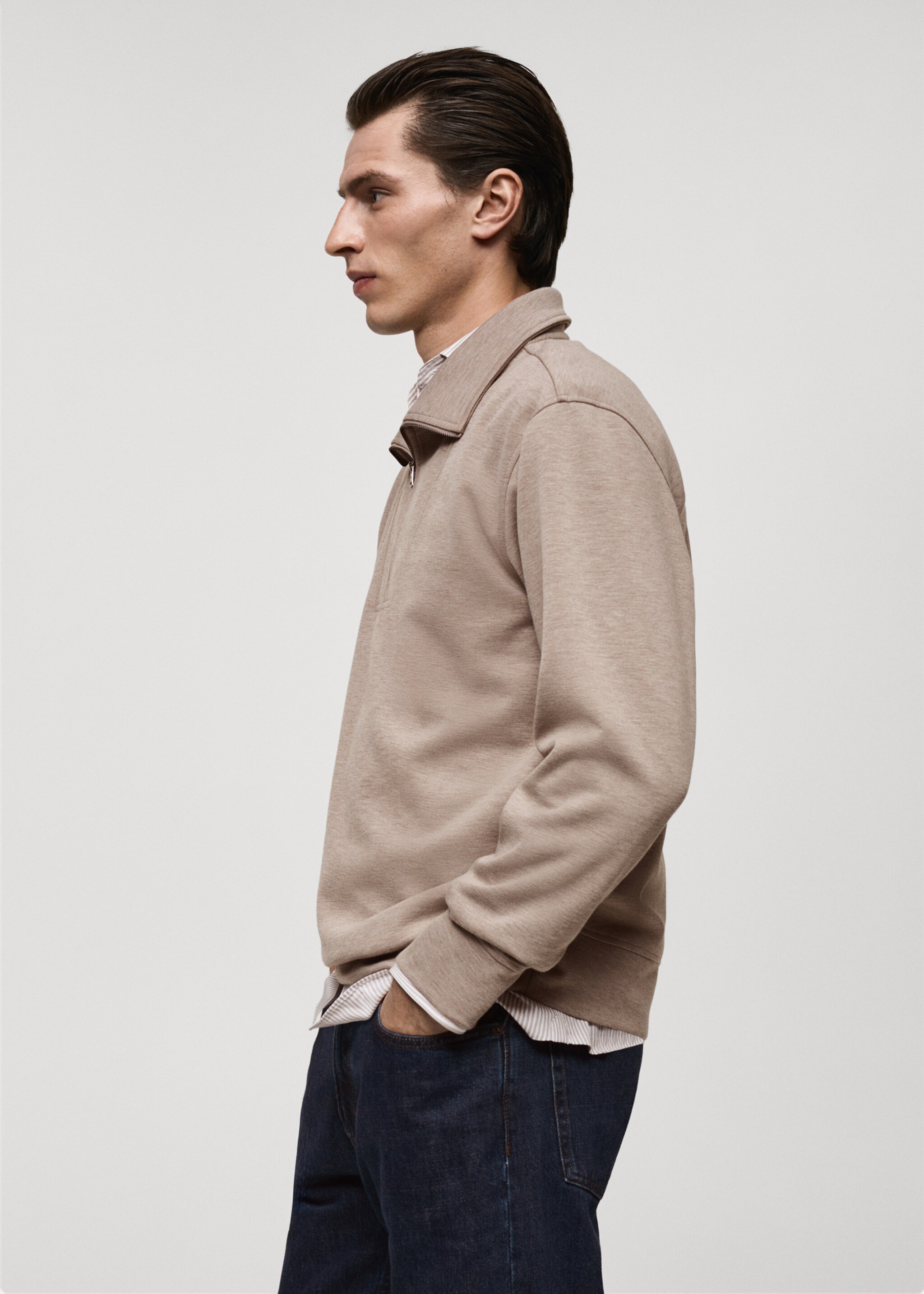 Regular-fit zip-neck sweatshirt - Details of the article 2, Mink Grey. Ref: 87072888-00.