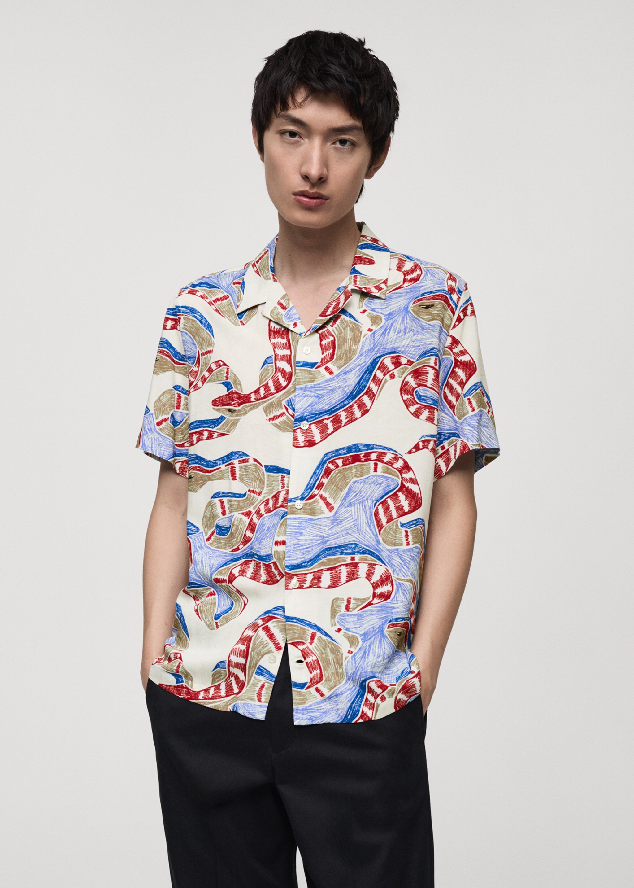 Regular-fit printed shirt - Medium plane, Red. Ref: 87080621-00.