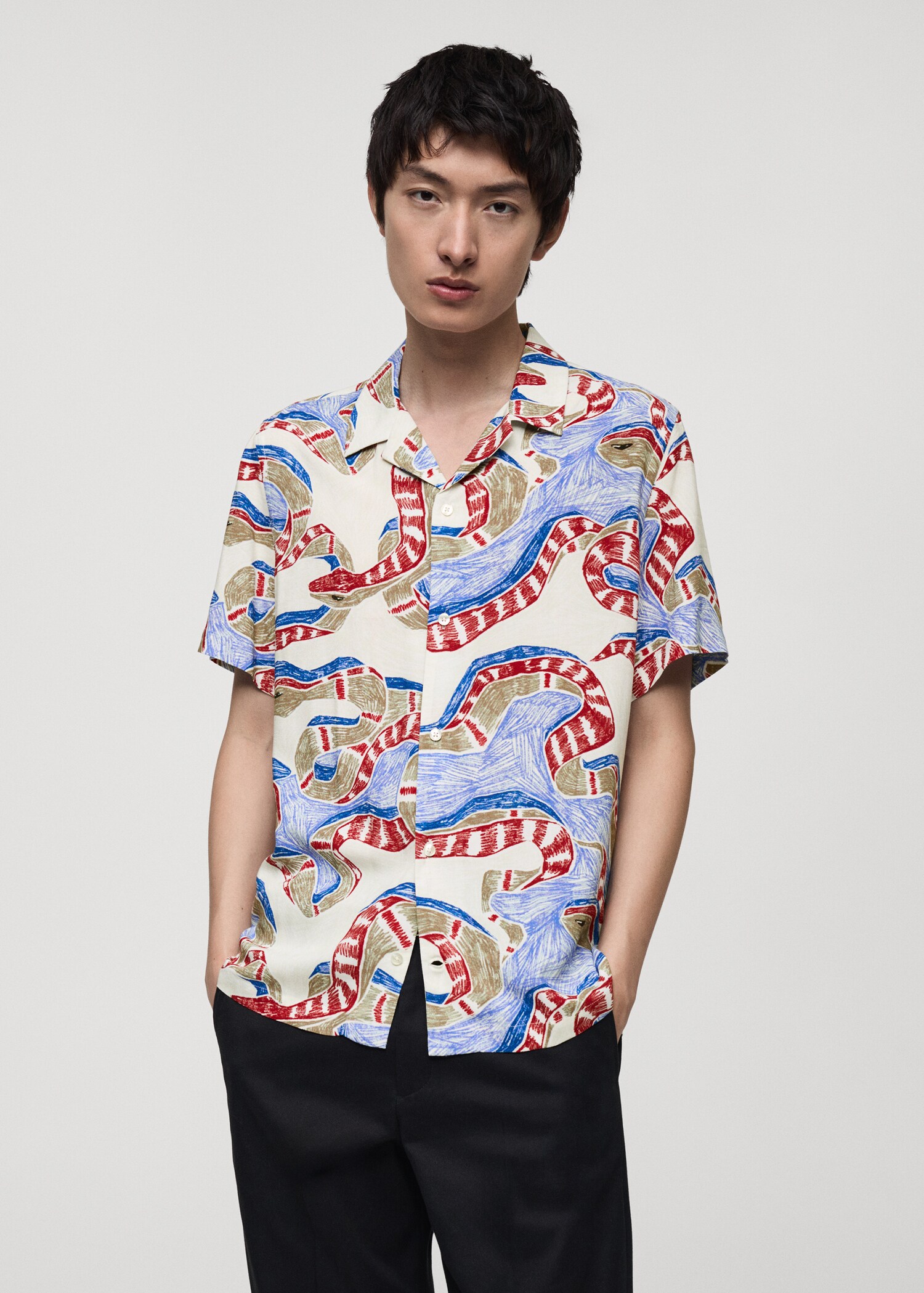 Regular-fit printed shirt - Medium plane