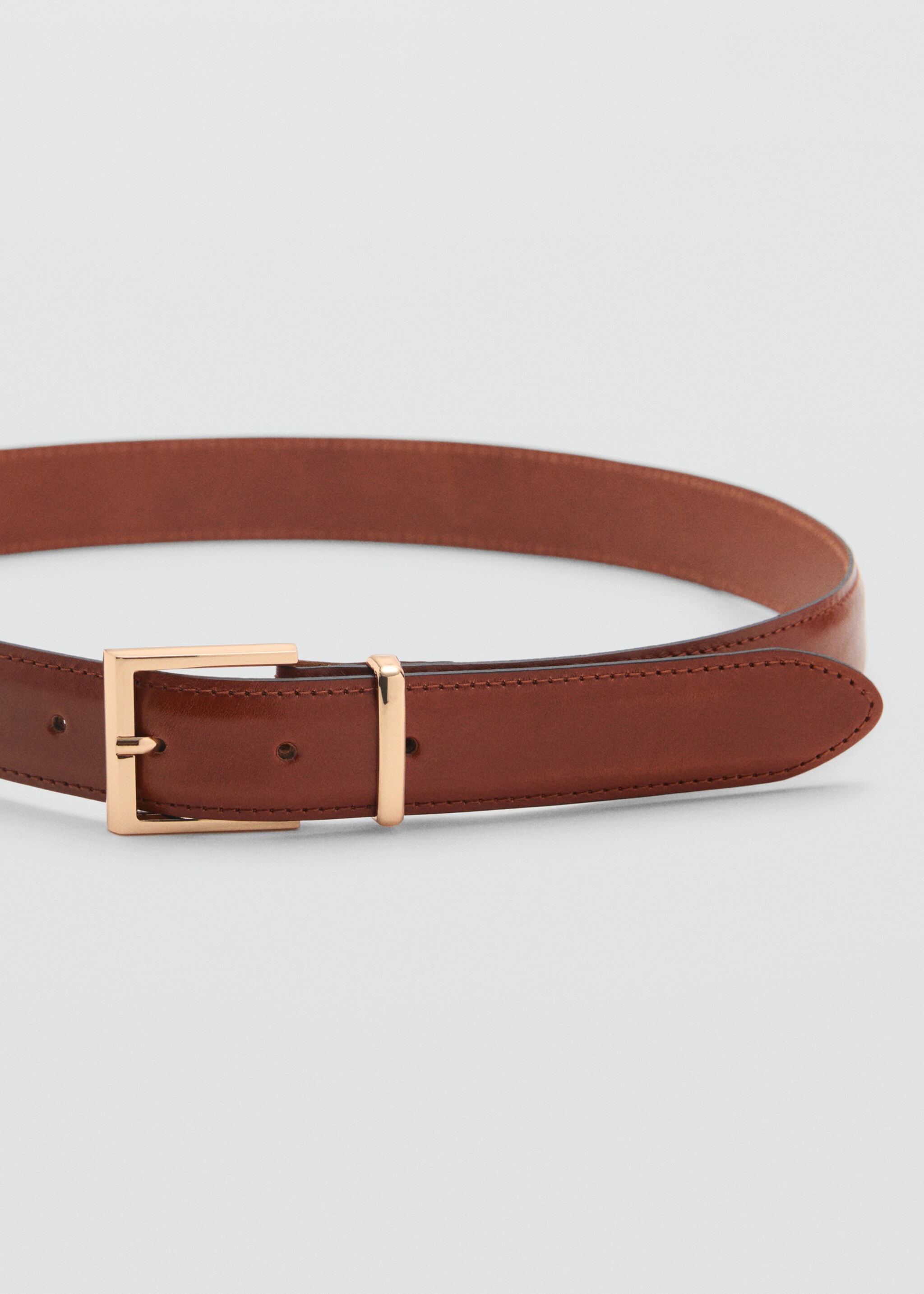 Belt telmo - Medium plane, Brown. Ref: 87084412-00.