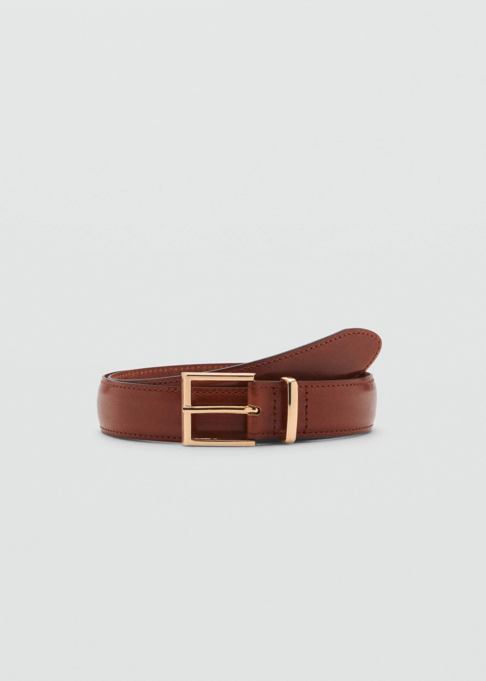 Belt telmo - Article without model, Brown. Ref: 87084412-00.