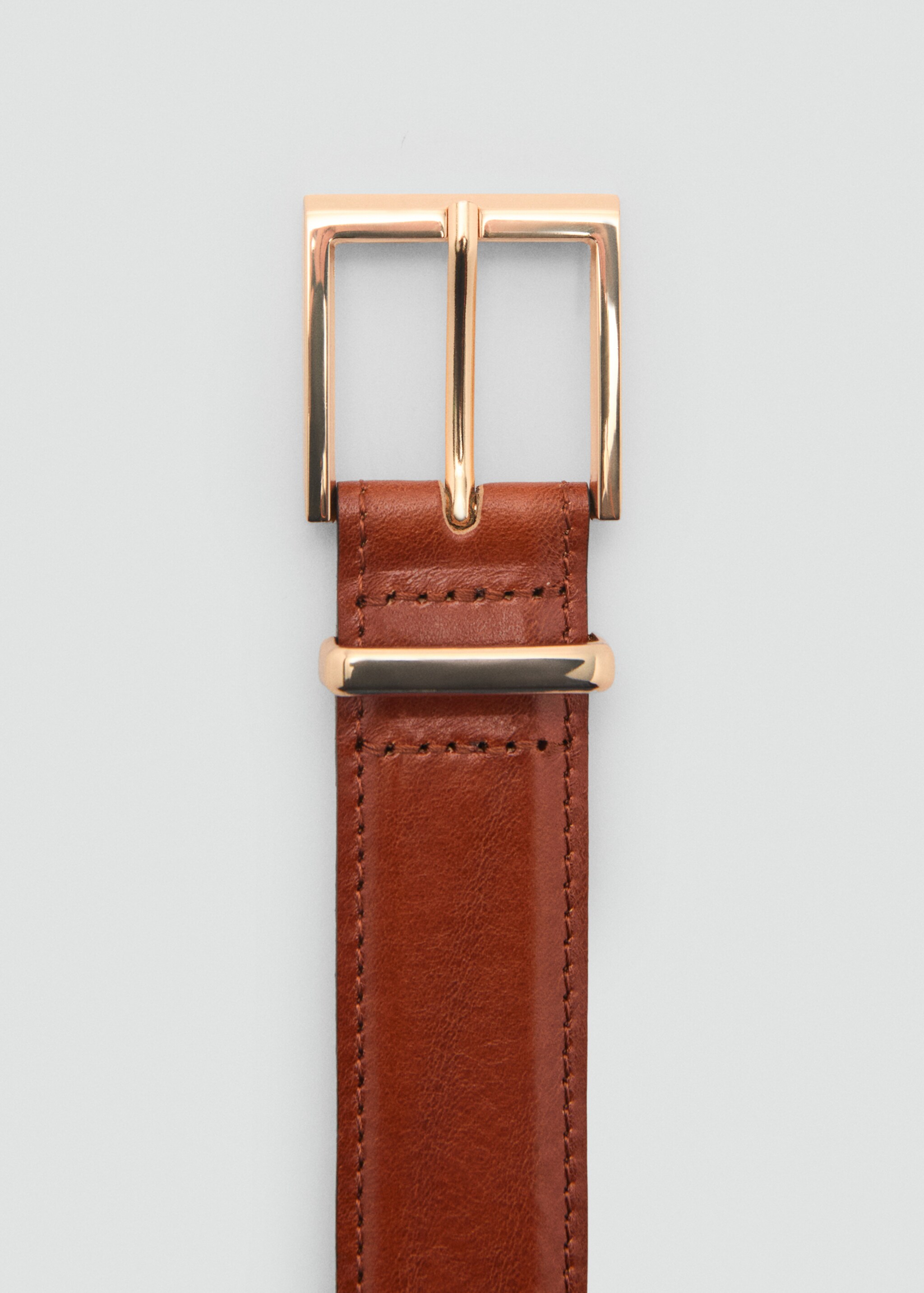 Belt telmo - Details of the article 1, Brown. Ref: 87084412-00.