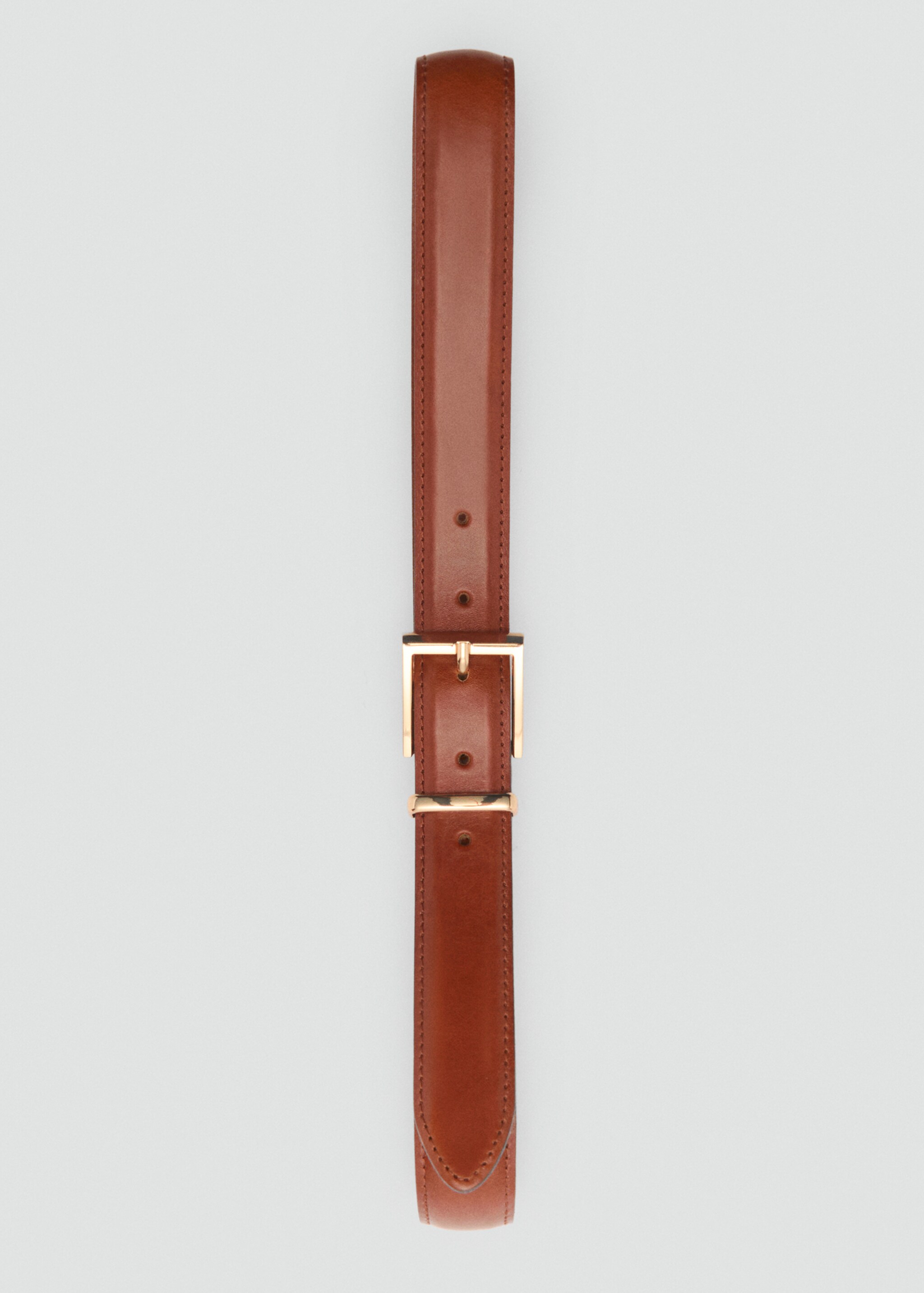 Belt telmo - Details of the article 2, Brown. Ref: 87084412-00.