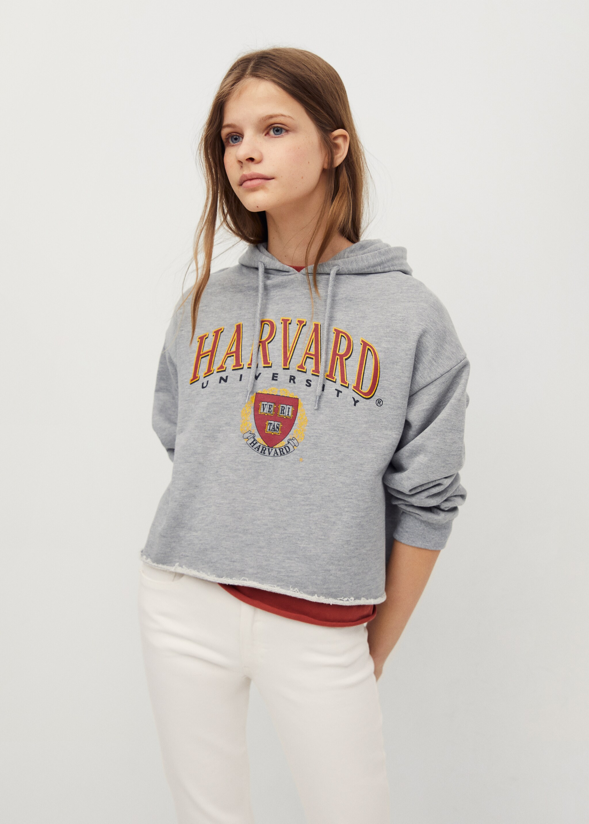 Mikina Harvard University © - Náhled ve středové rovině