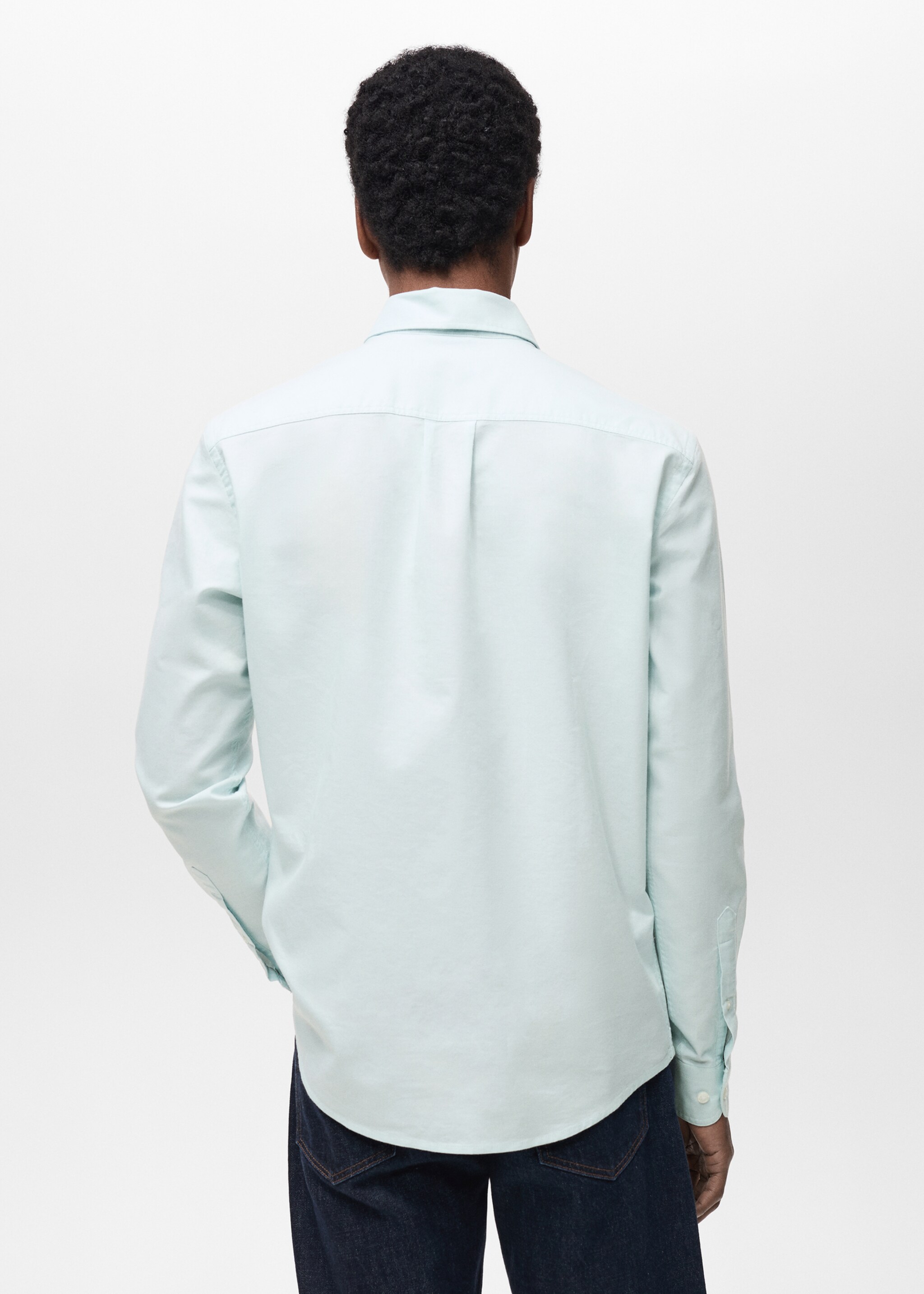 100% cotton Oxford shirt with logo - Reverse of the article, Pastel Green. Ref: 87090653-00.