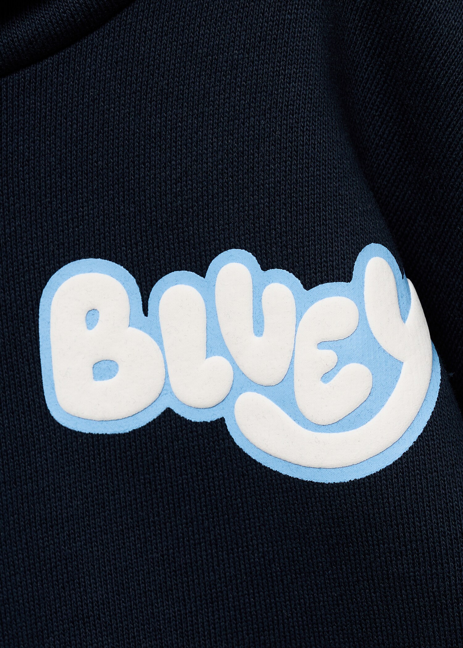Bluey-print sweatshirt - Details of the article 0