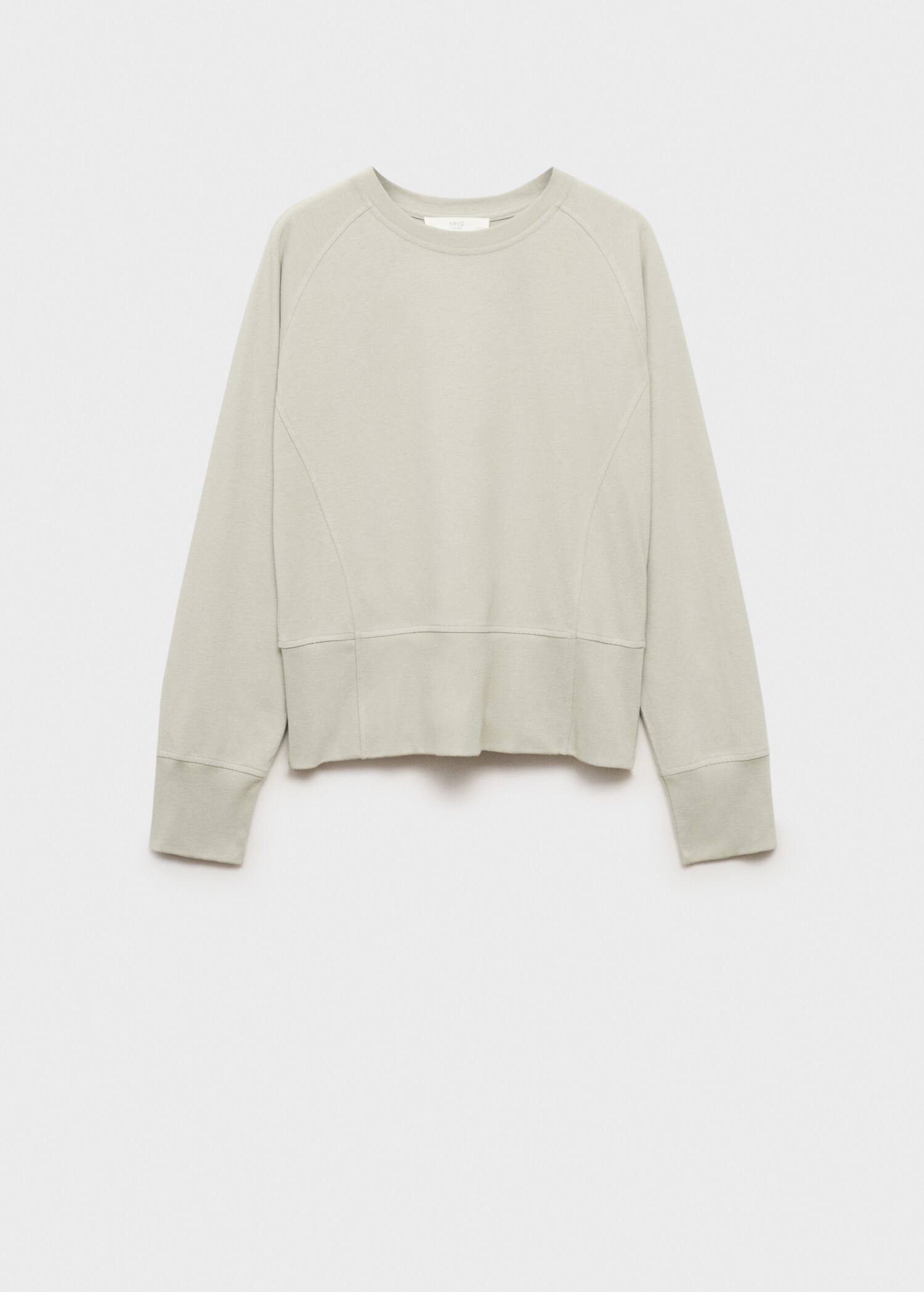 Cotton sweatshirt with soft finish - Article without model