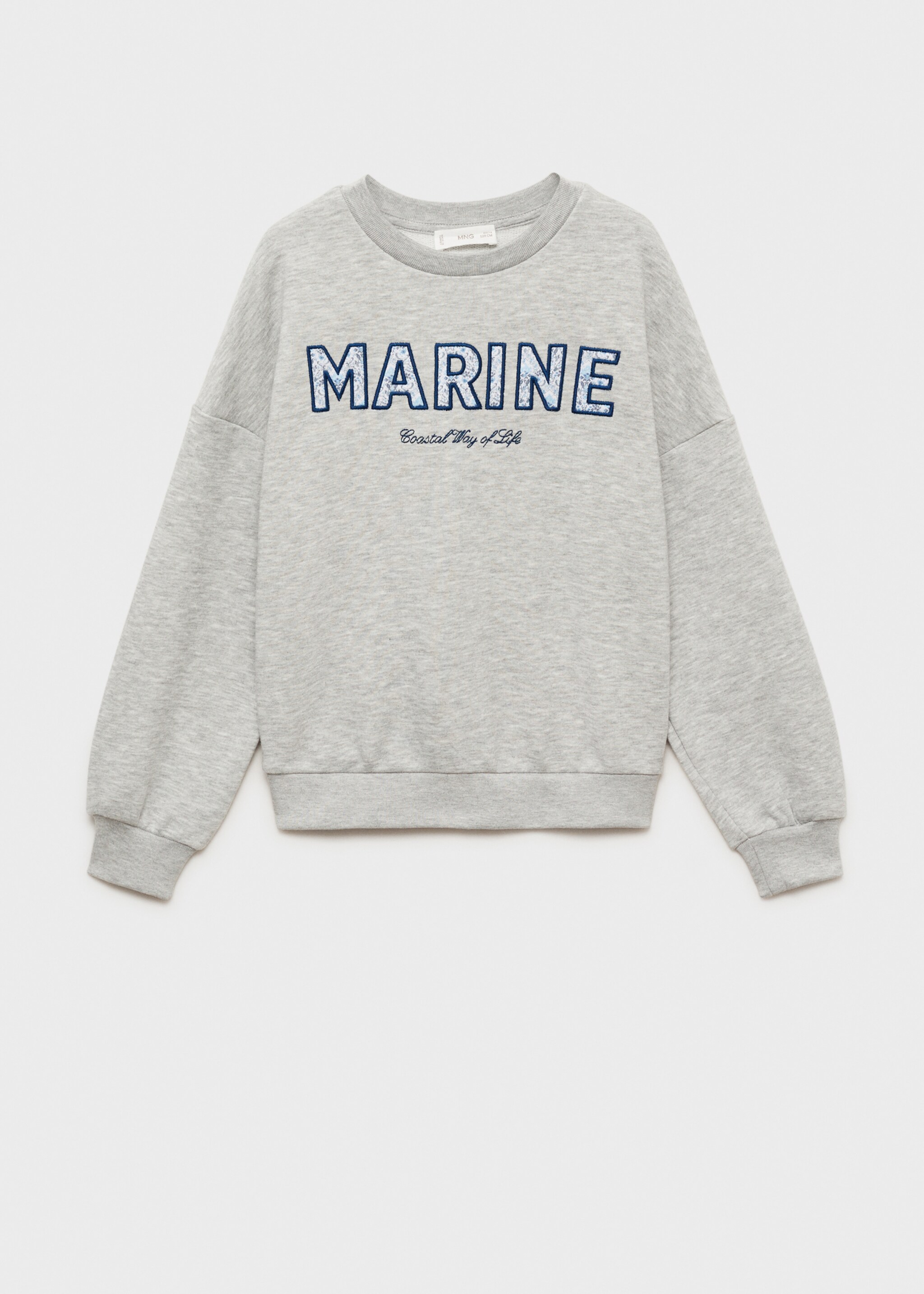 Cotton sweatshirt with embroidered message - Article without model, Light Heather Grey. Ref: 87094805-00.