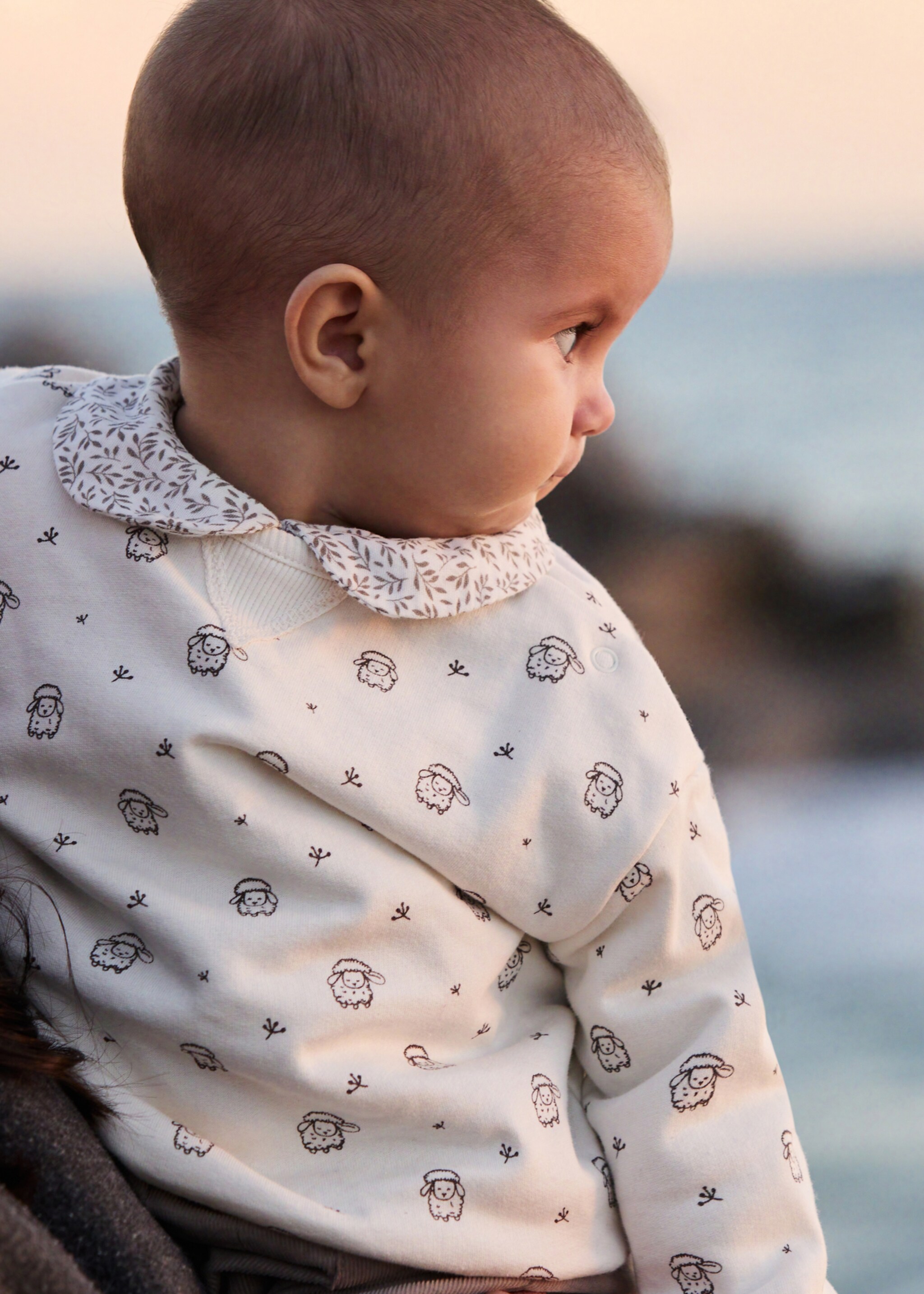 Bawełniana bluza ze wzorem - Plan ogólny, Złamana biel. Ref: 87010343-00.