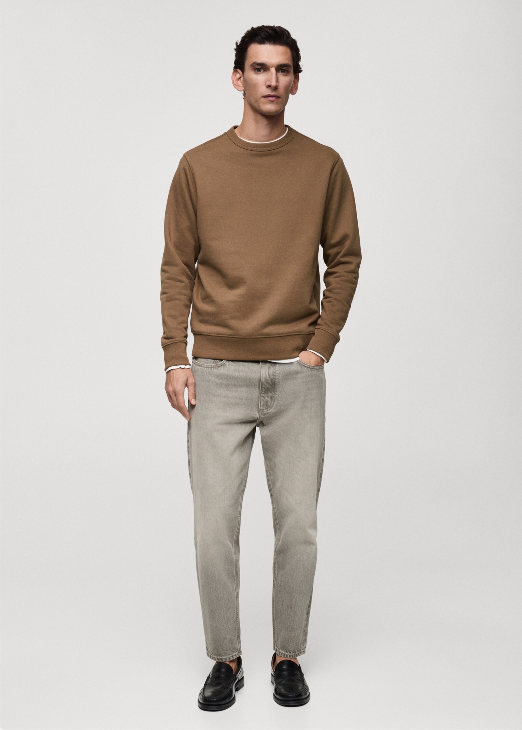 Regular-fit cotton sweatshirt - General plane, Medium Brown. Ref: 87010620-00.