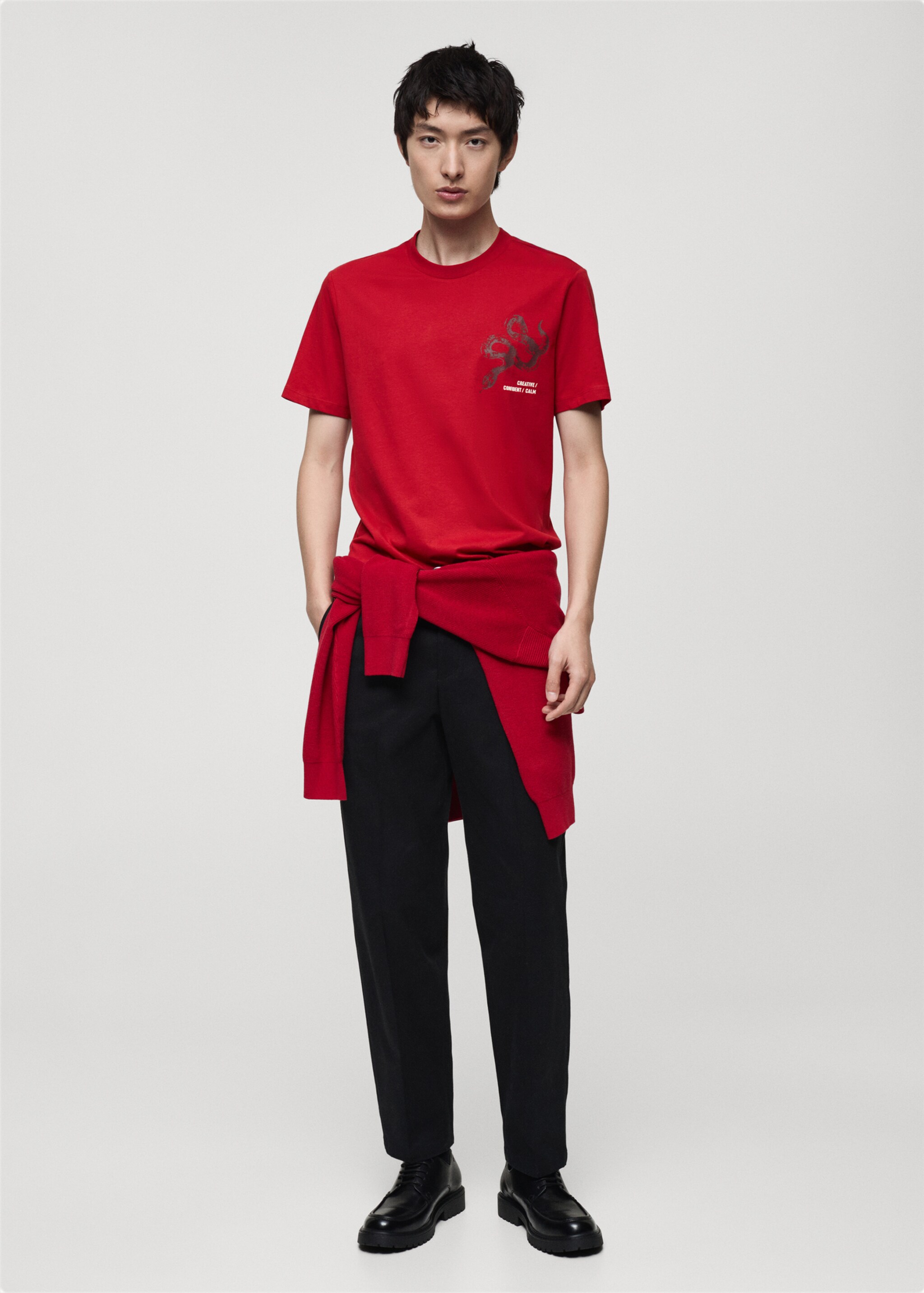 100% cotton slim-fit t-shirt with combined print - General plane, Red. Ref: 87020254-00.