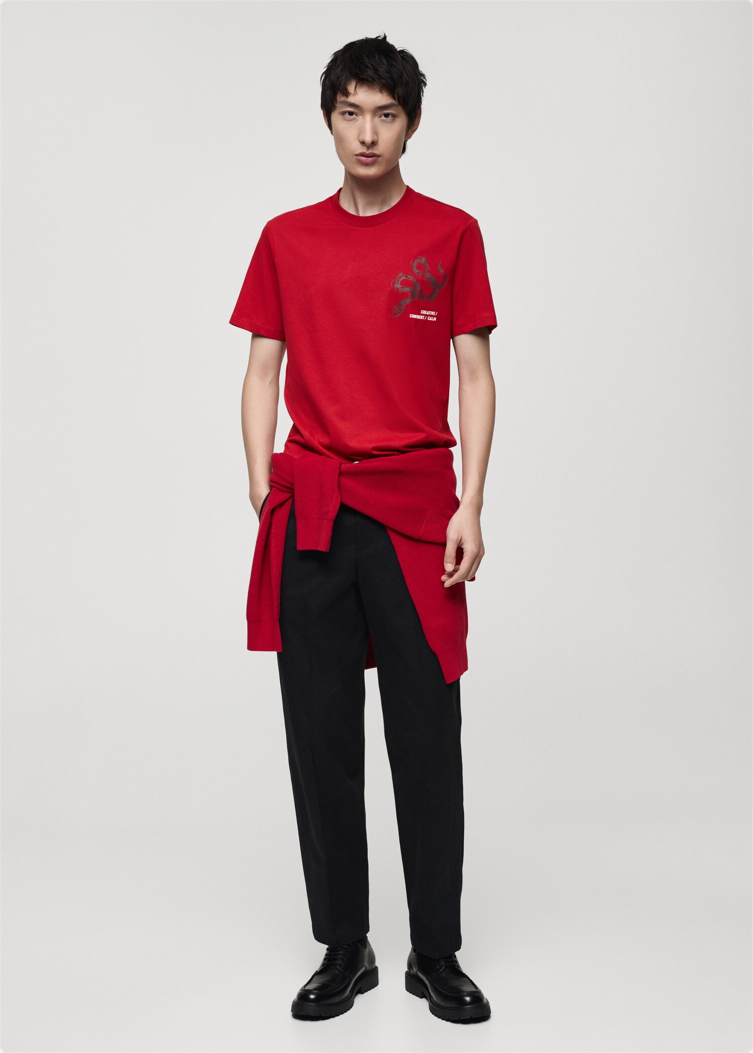 100% cotton slim-fit t-shirt with combined print - General plane