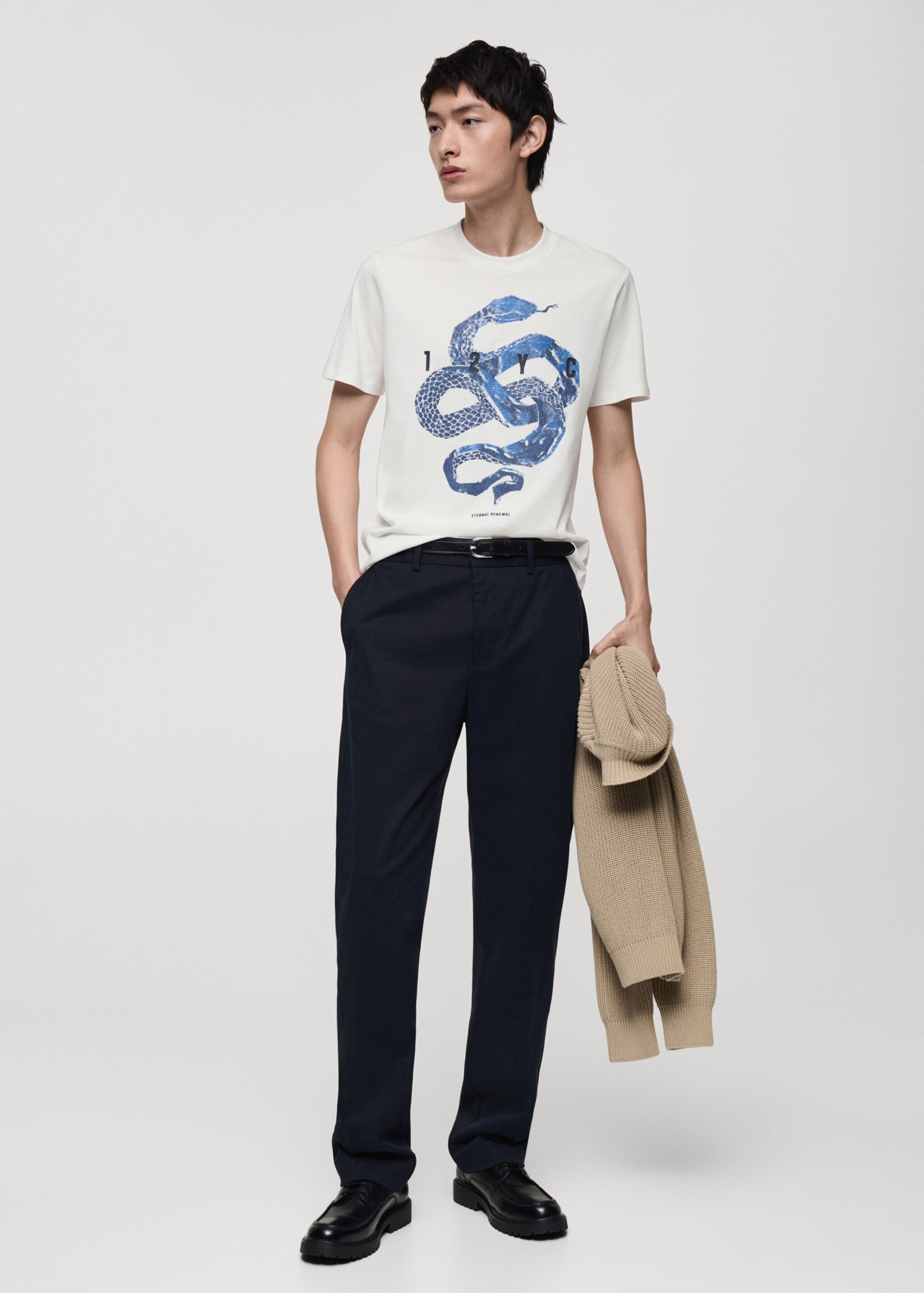 100% cotton t-shirt with graphic print on the front - General plane, White. Ref: 87020256-00.