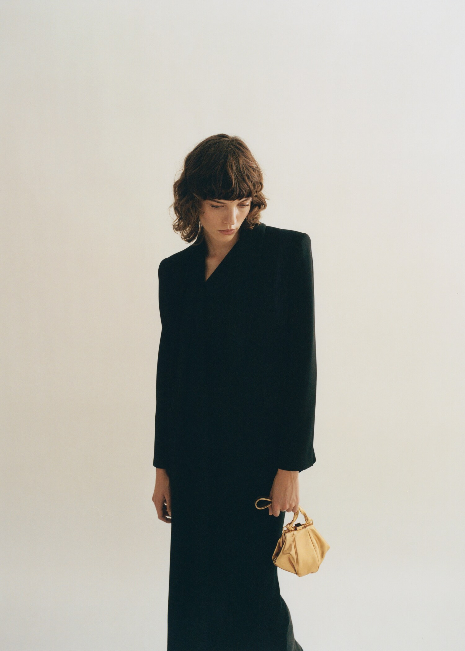 Leather metallic bag - General plane