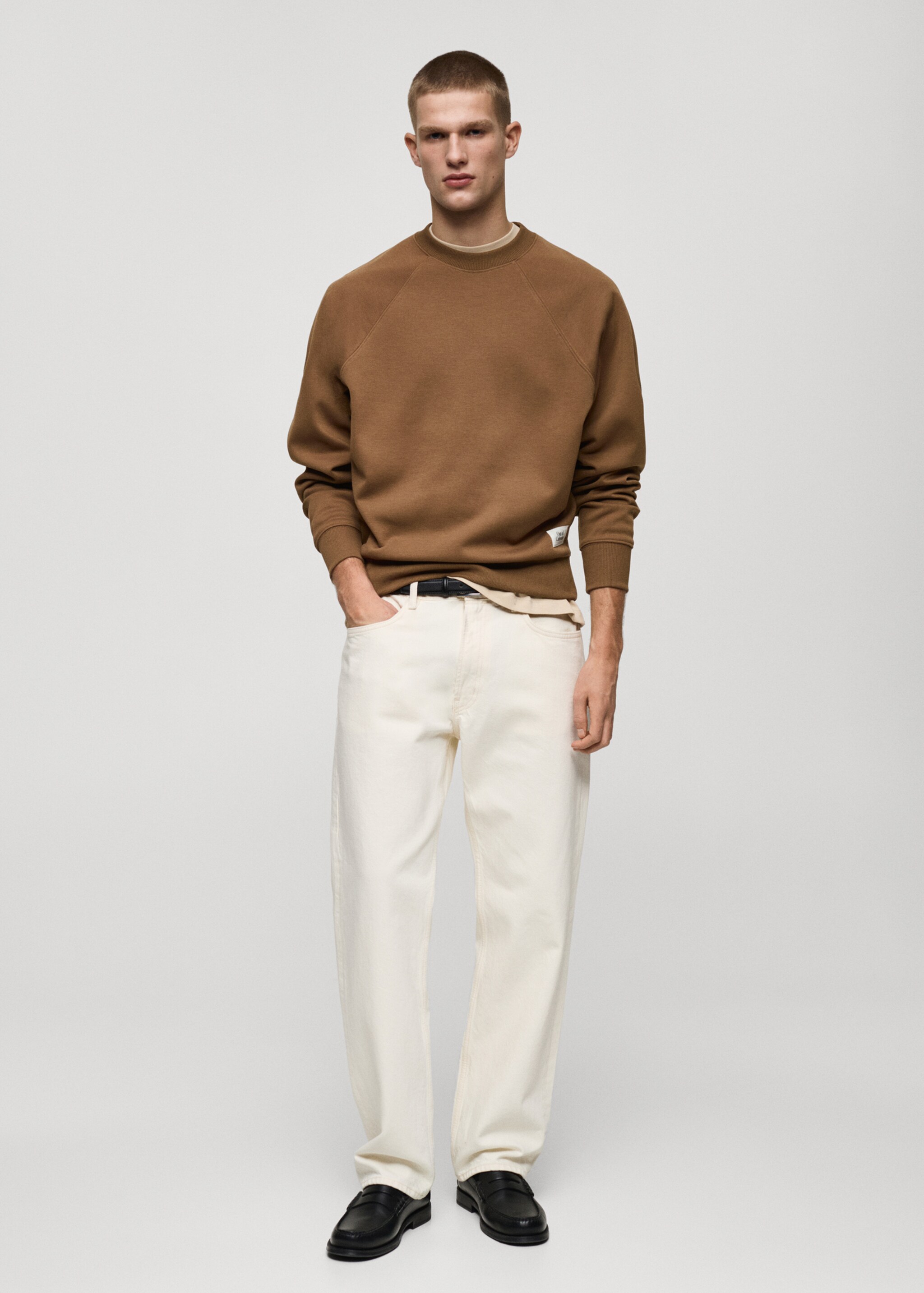 Relaxed-fit sweatshirt - General plane, Medium Brown. Ref: 87030604-00.