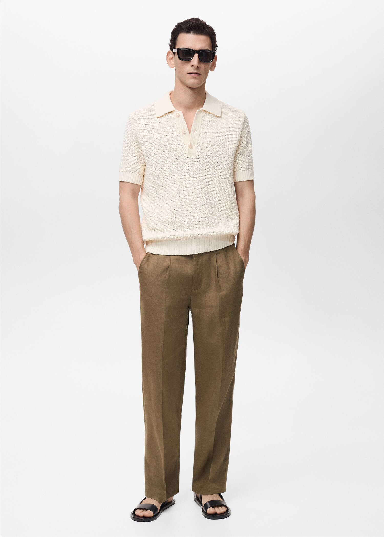100% linen pleated trousers - General plane