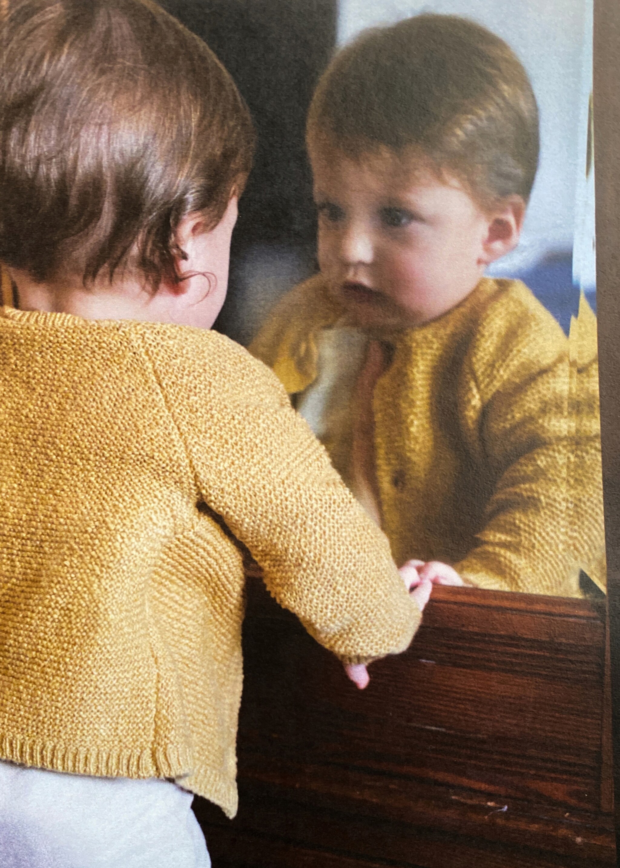 Knitted button cardigan - General plane, Mustard. Ref: 87065954-00.